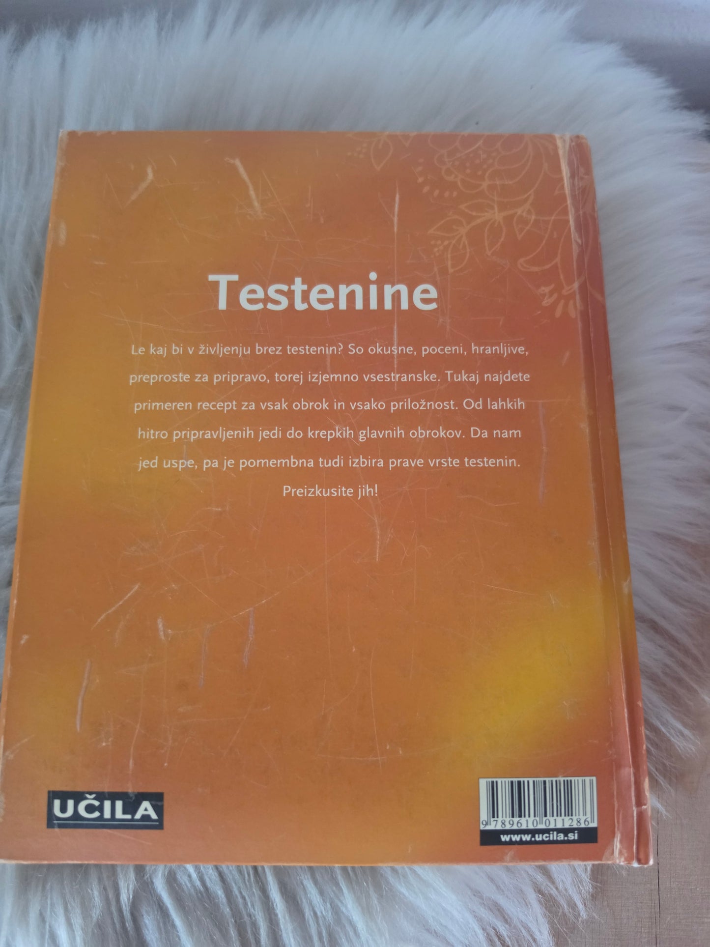 Testenine Učila