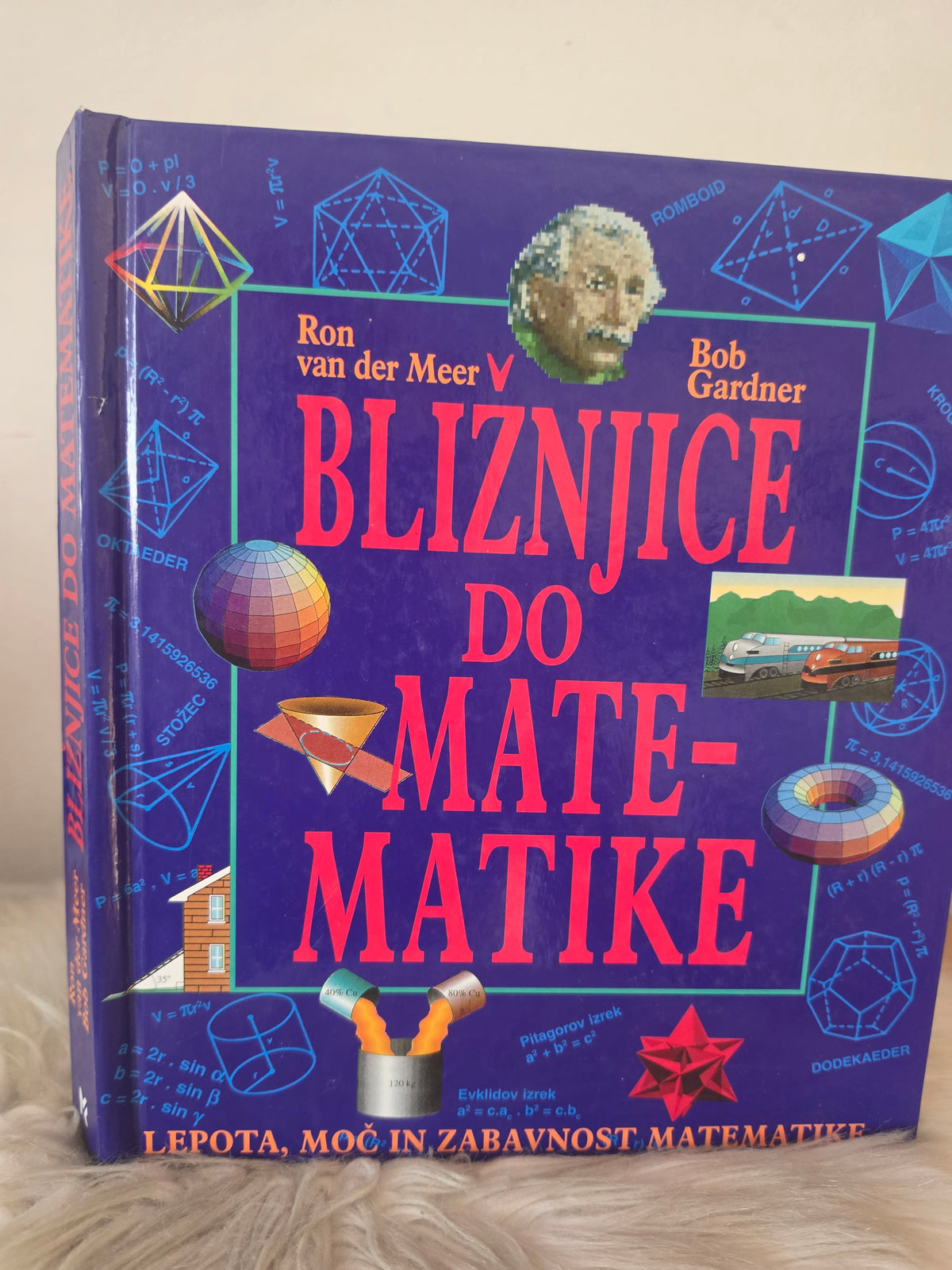 Bljižnice do matematike Ron van der Meer