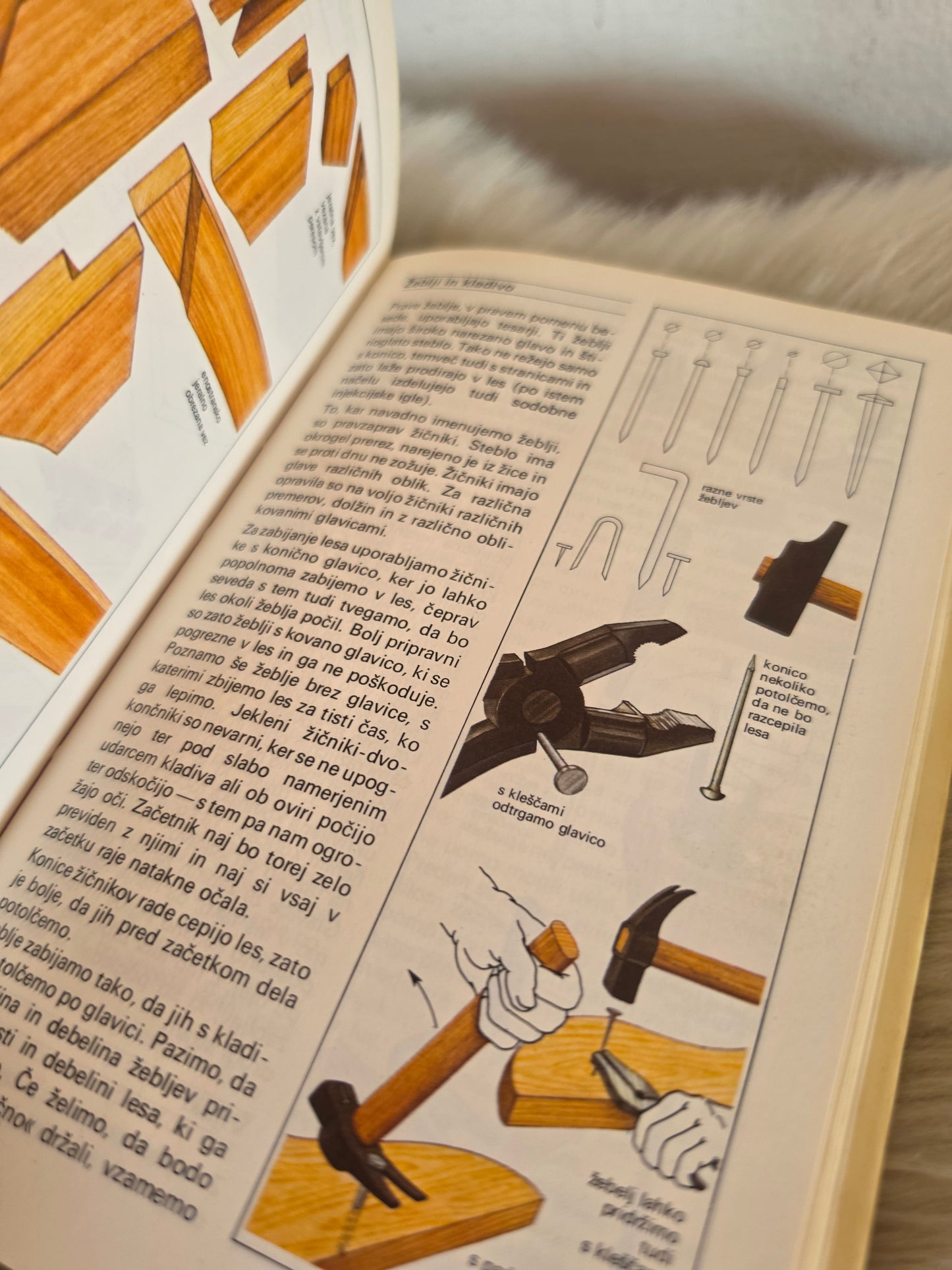 Delajmo z lesom Rinaldo Donzelli Bruno Munari Piero Poato