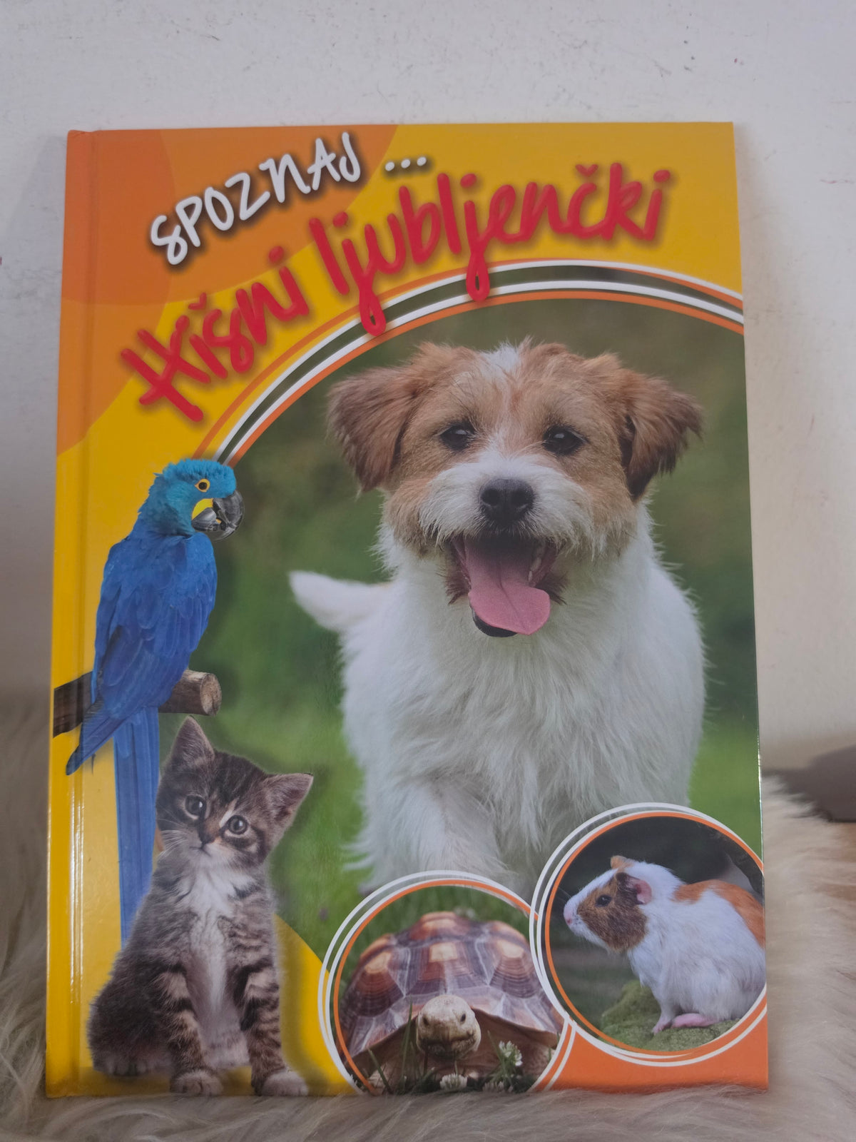 Spoznaj...Hišni ljubljenčki Mladinska knjiga