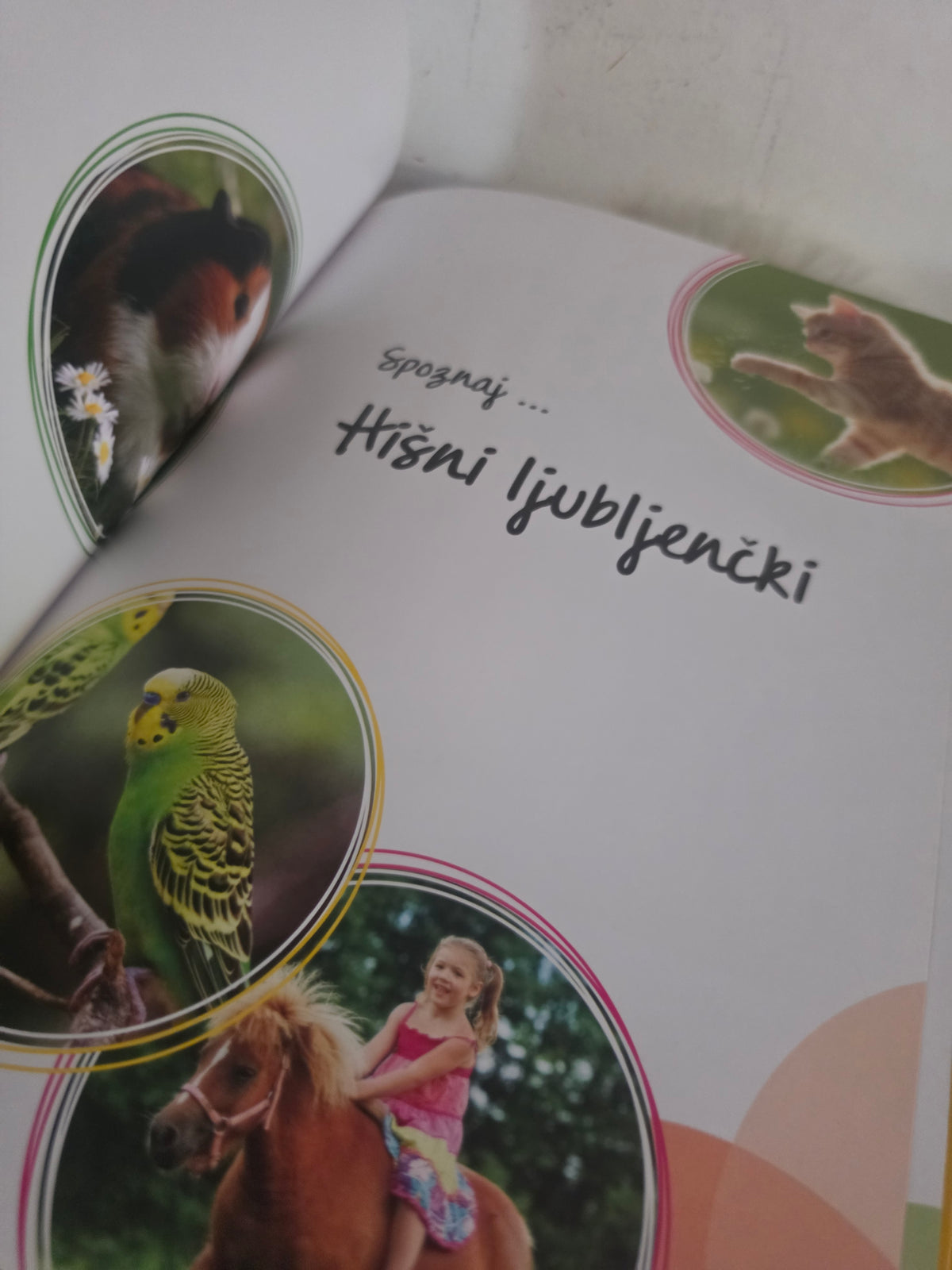 Spoznaj...Hišni ljubljenčki Mladinska knjiga