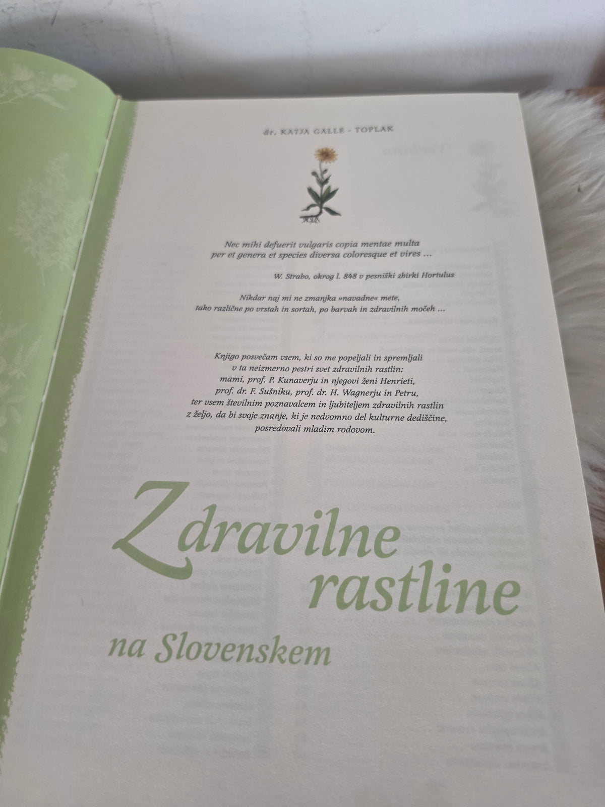 Zdravilne rastline na Slivenskem Svet knjige