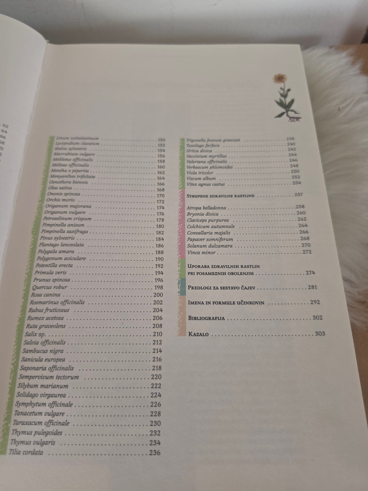Zdravilne rastline na Slivenskem Svet knjige