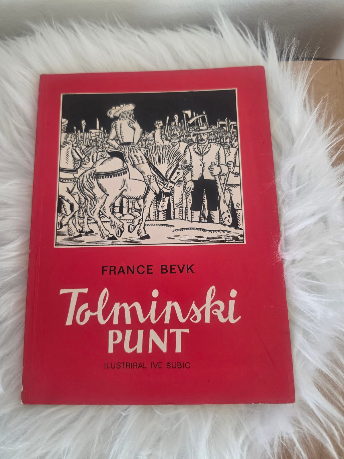 Tolminski punt France Bevk