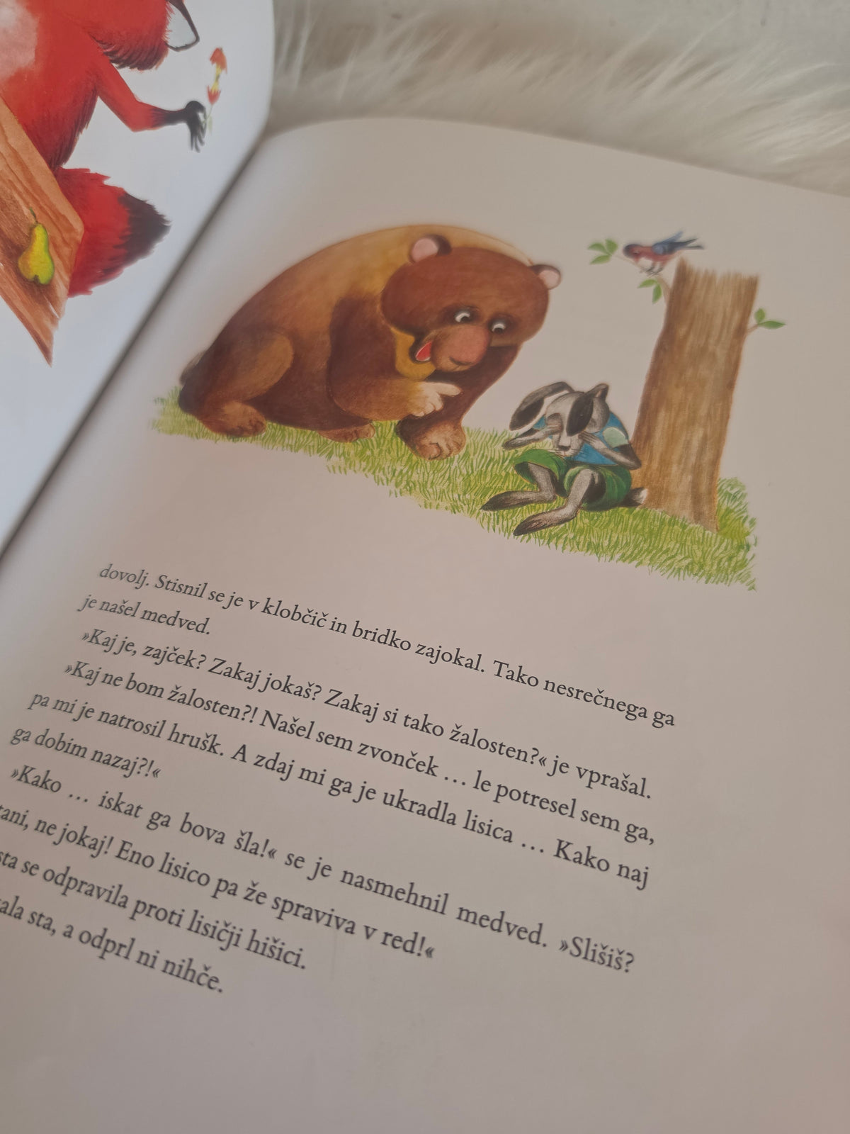 Kotiček na koncu sveta Anja Štefan