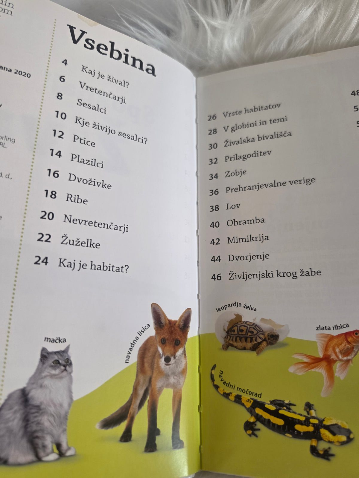 Spoznaj živali Mladinska knjiga