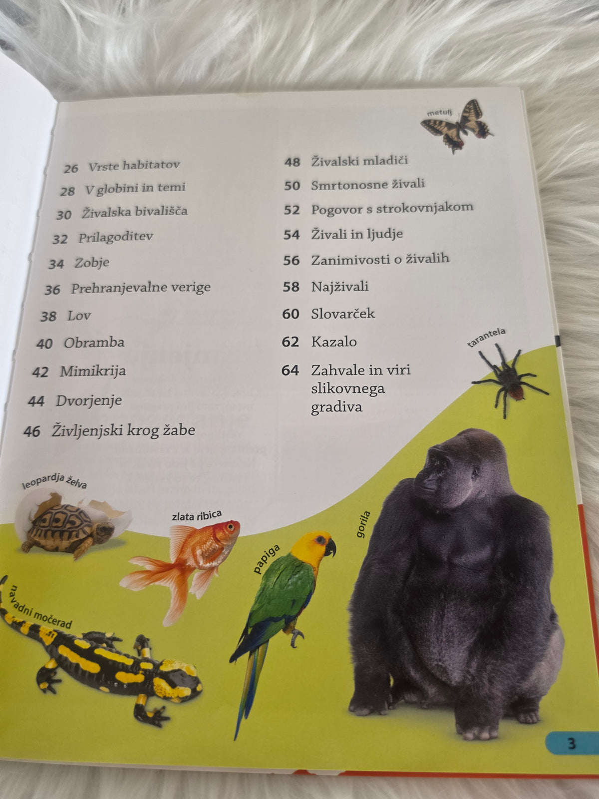 Spoznaj živali Mladinska knjiga