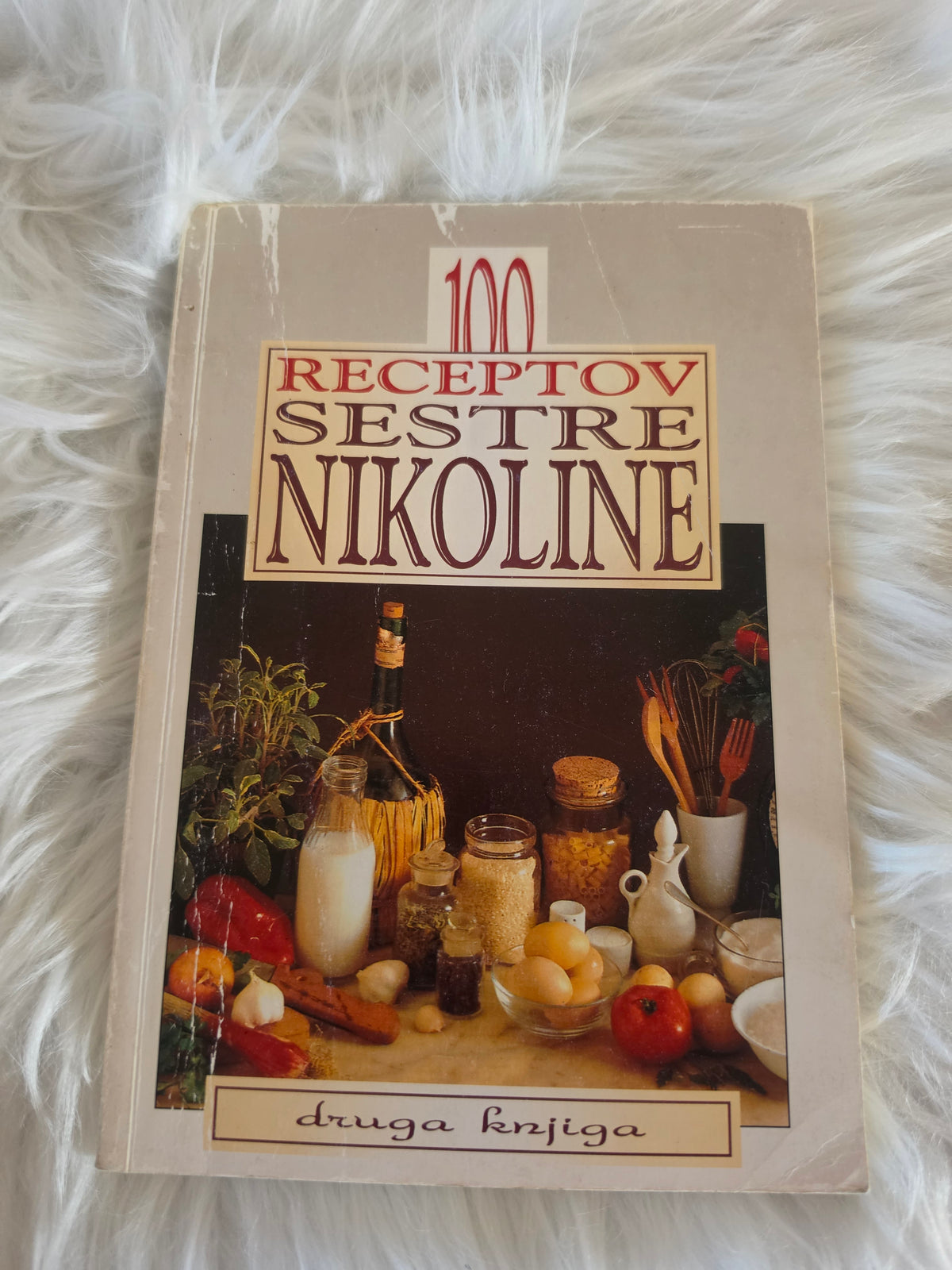 100 receptov sestre Nikoline Družina