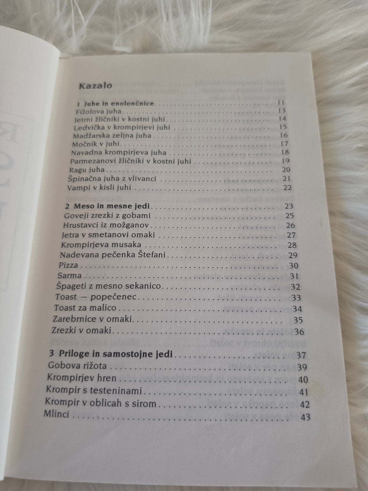 100 receptov sestre Nikoline Družina