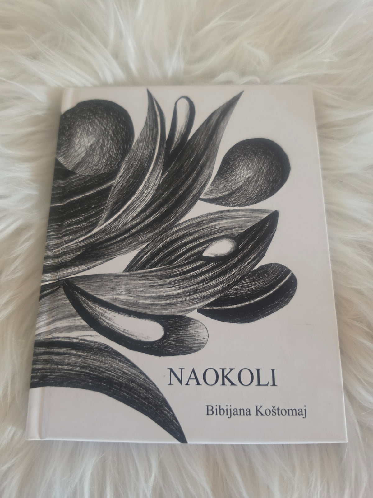 Naokoli Bibijana Koštomaj