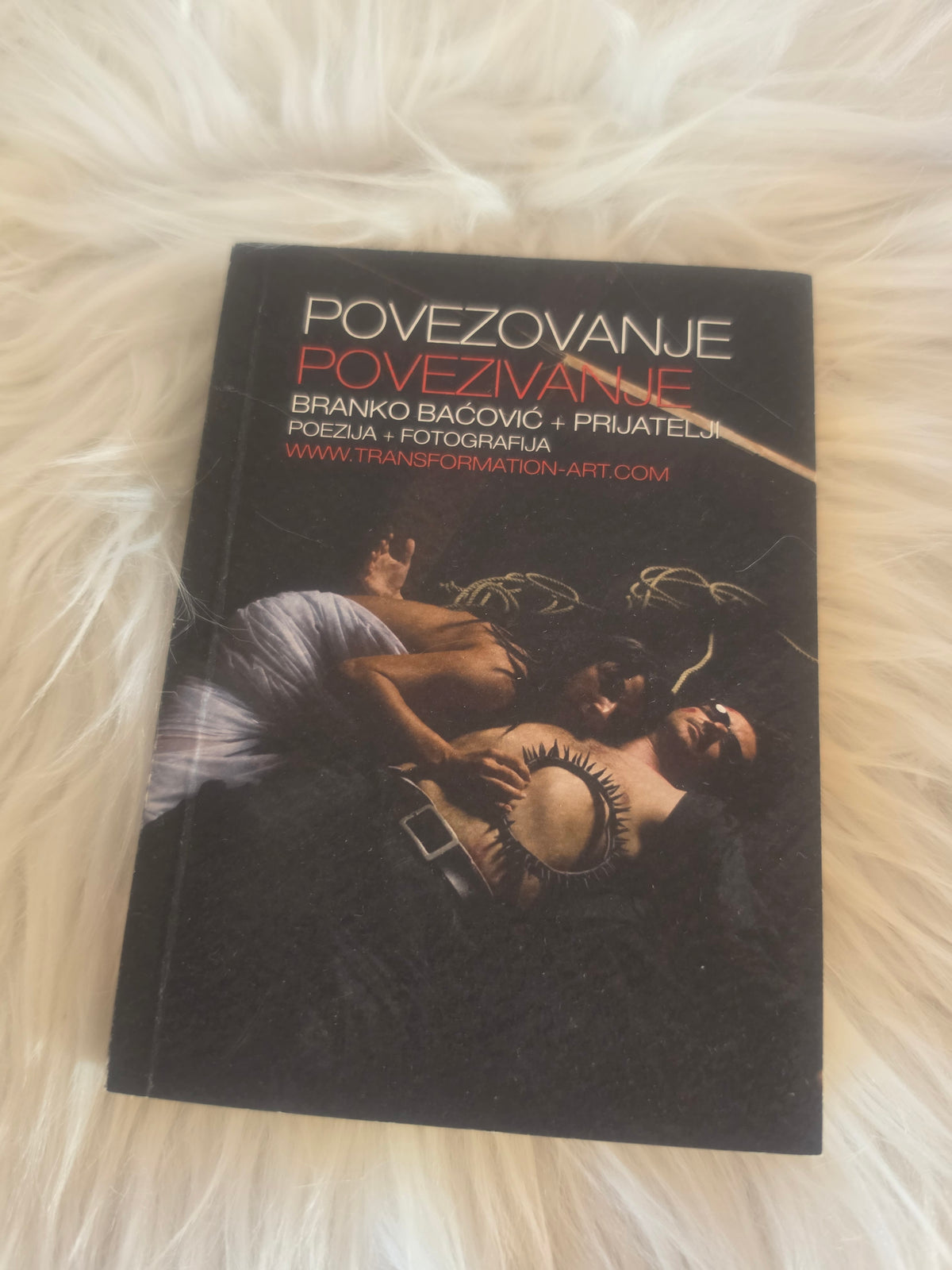 Povezovanje, povezivanje PRIJATELJI POEZIJA FOTOGRAFIJA Branko Baćović
