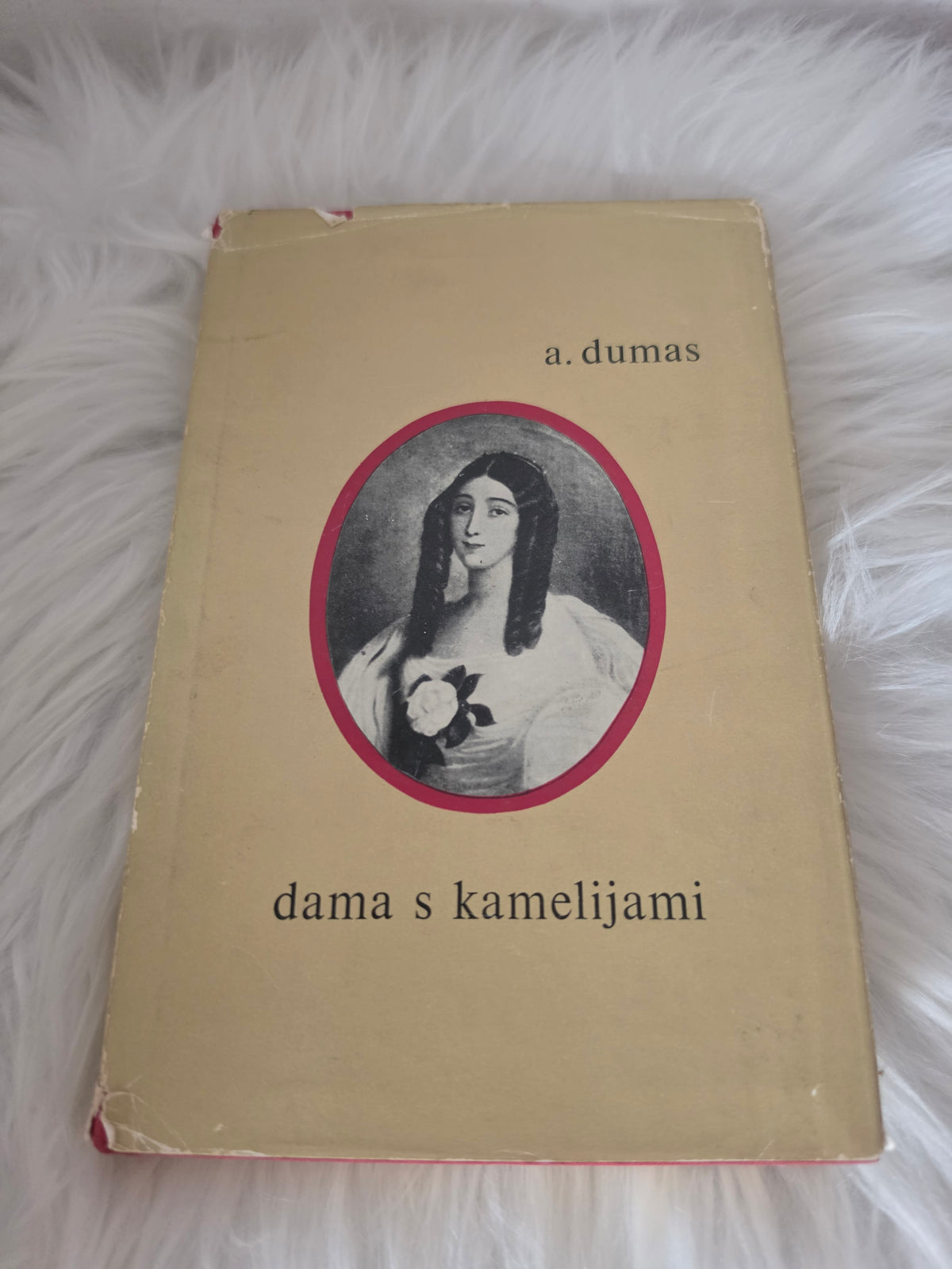 Dama s kamelijami A.Dumas