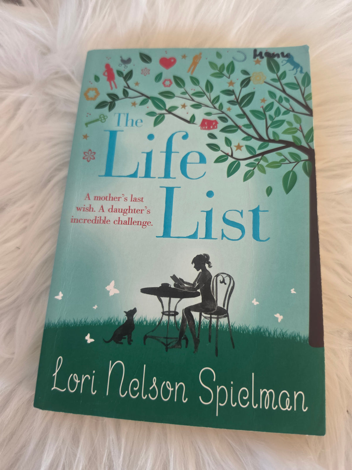 The Life List Lori Nelson Spielman
