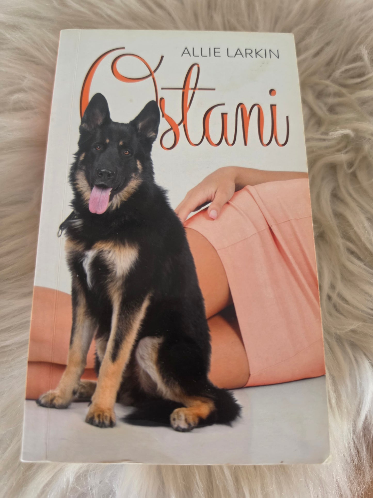 Ostani  Allie Larkin