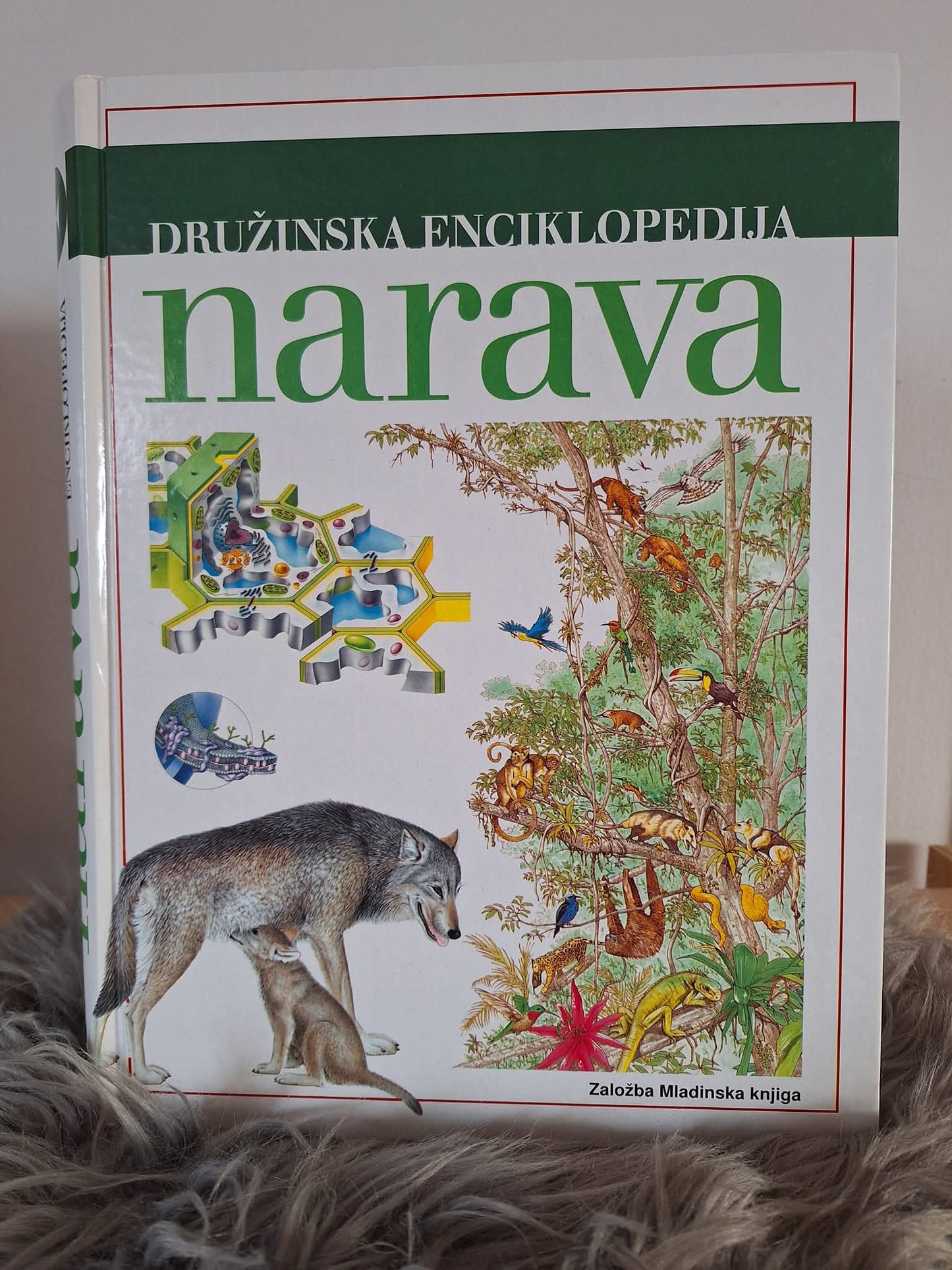 Družinska enciklopedija narava  Založba Mladinska knjiga