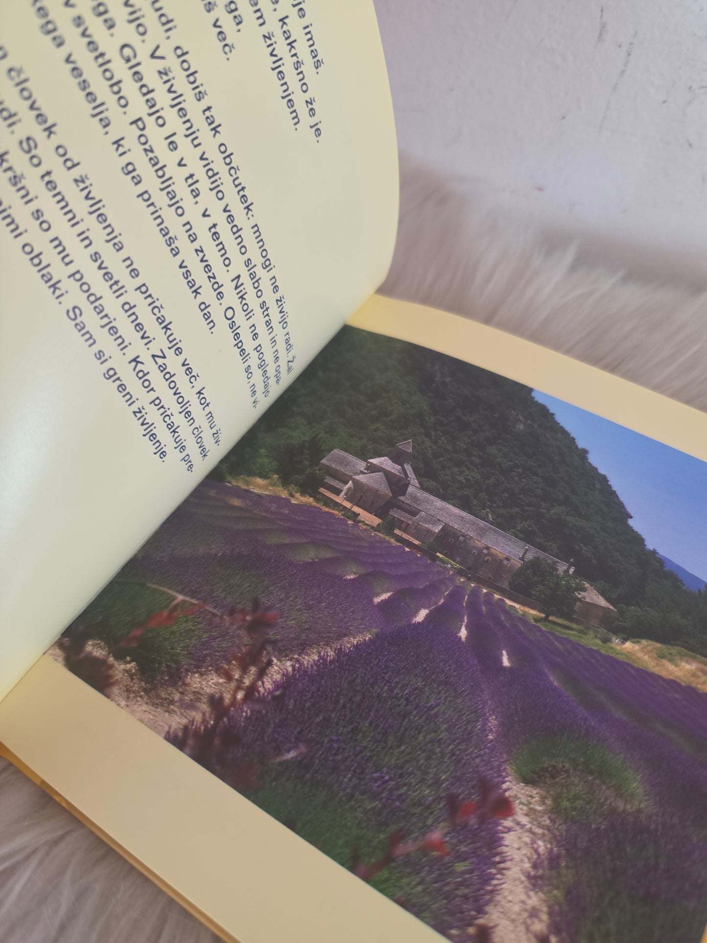Več sonca v življenje to dobro dene Phil Bosmans