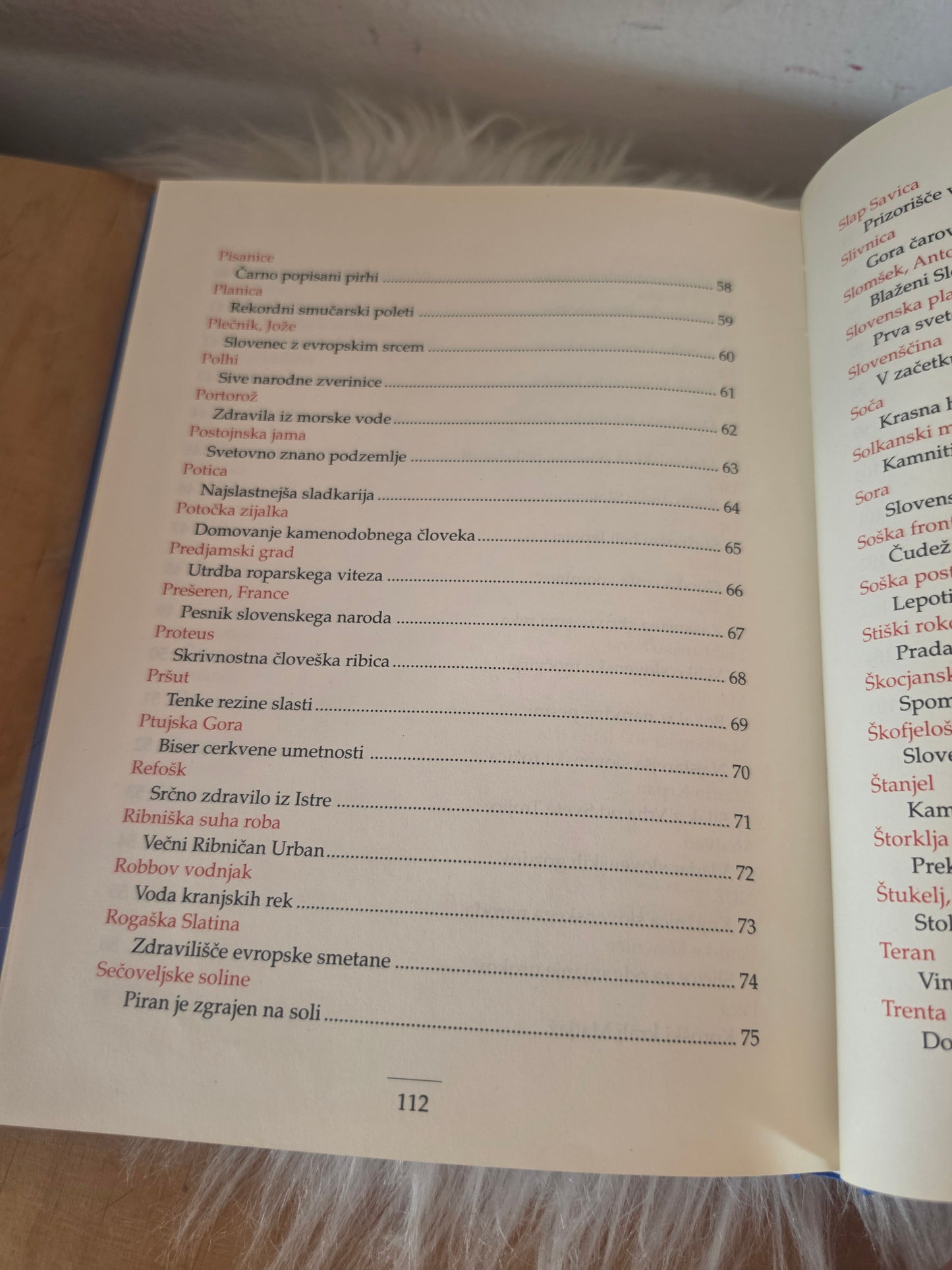 101 slovenska prepoznavnost Slovensko izročilo Svet knjige