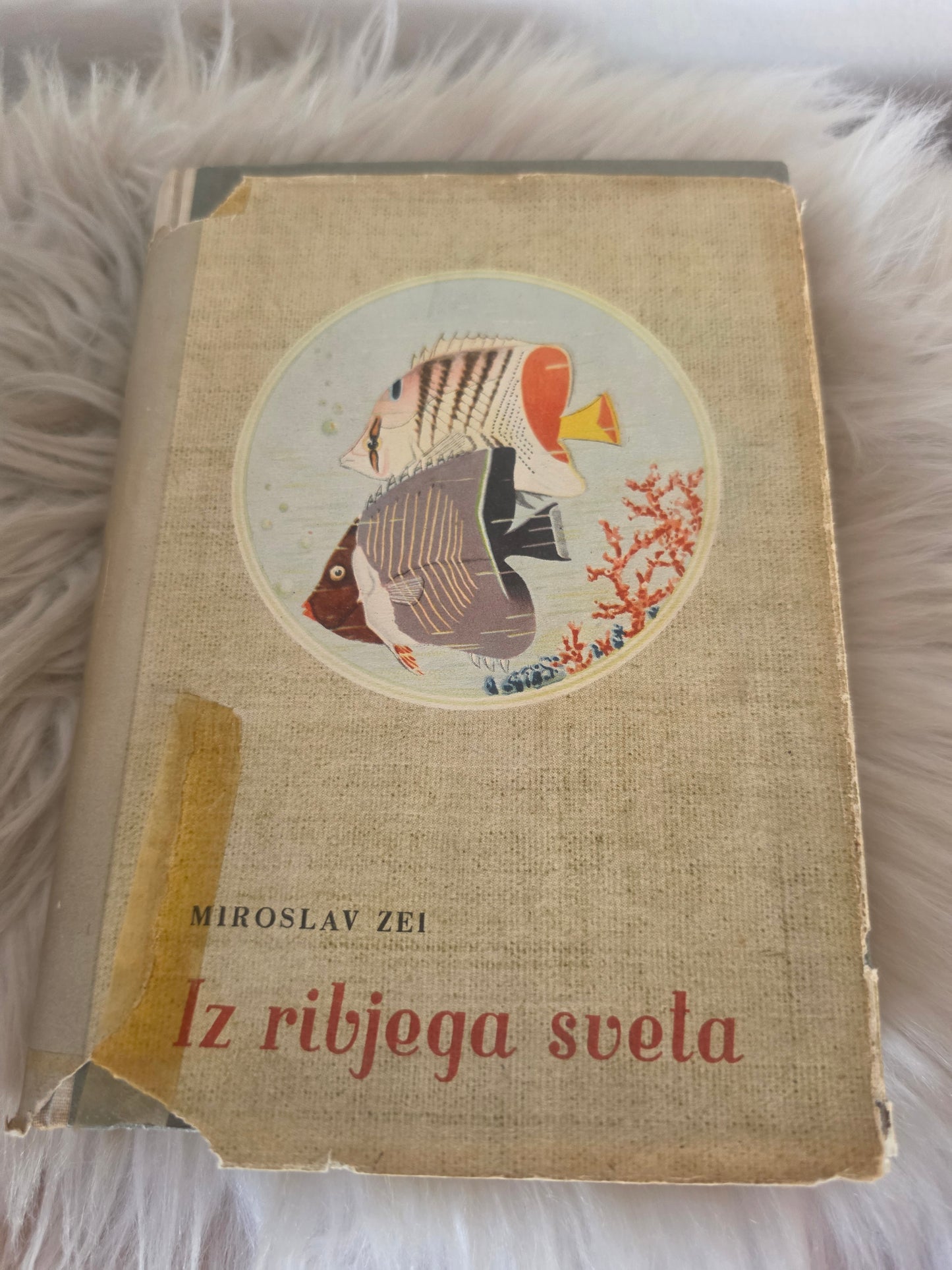 Iz ribjega sveta Miroslav Zei
