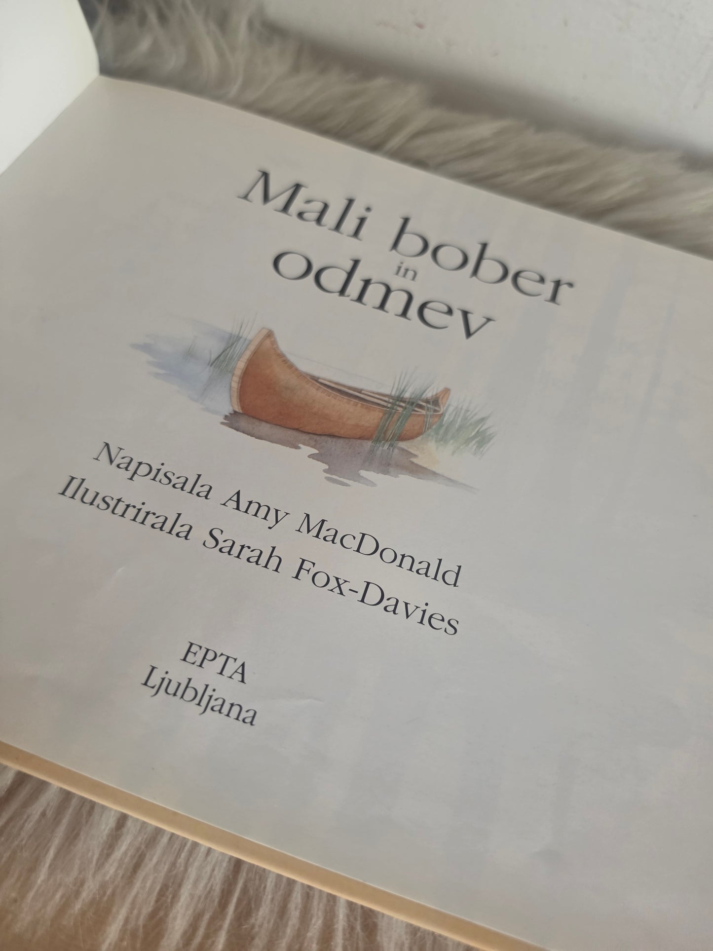 Mali bober in odmev Amy MacDonald