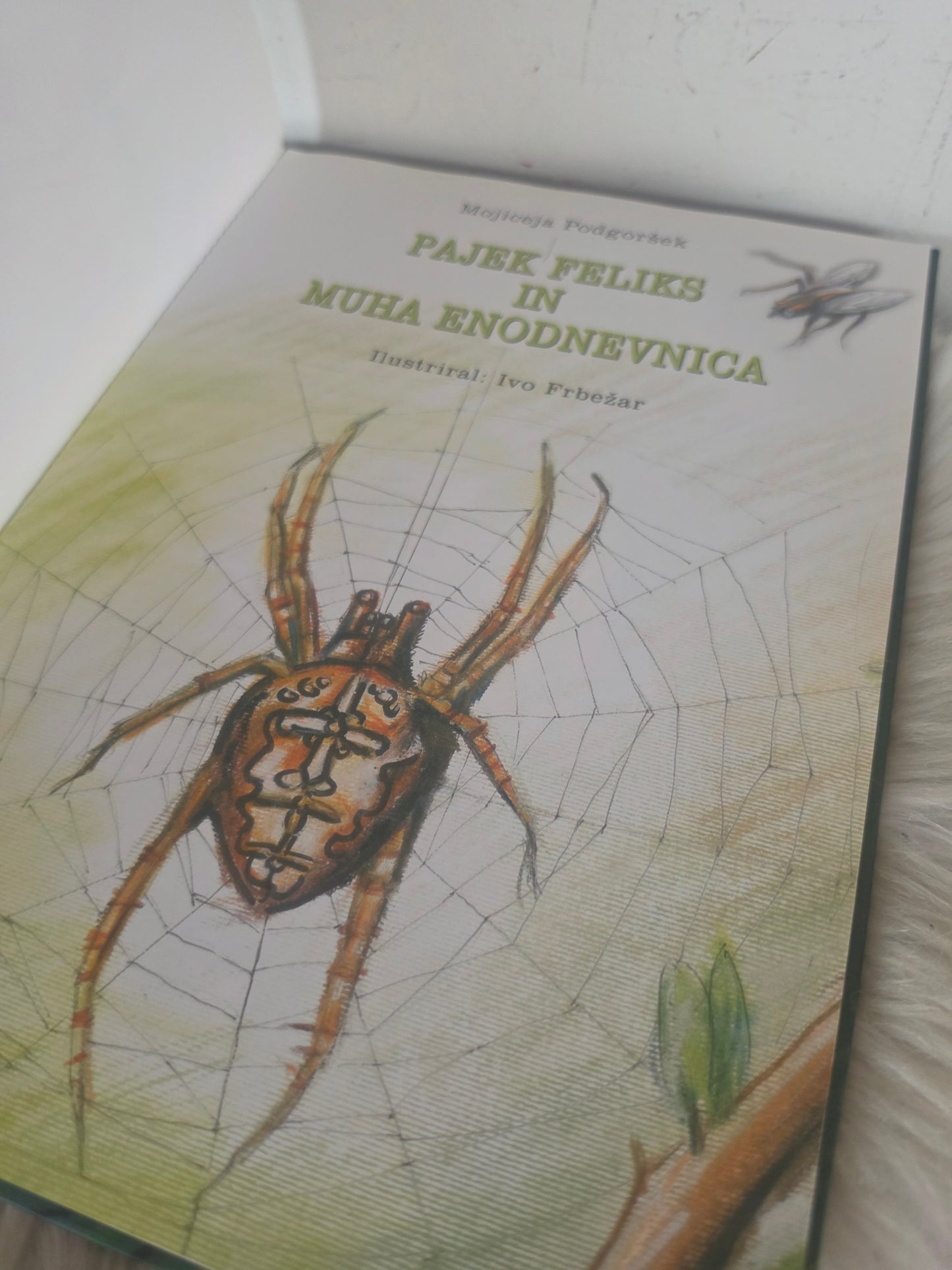 Pajek Feliks in muha enodnevnica Mojiceja Podgoršek