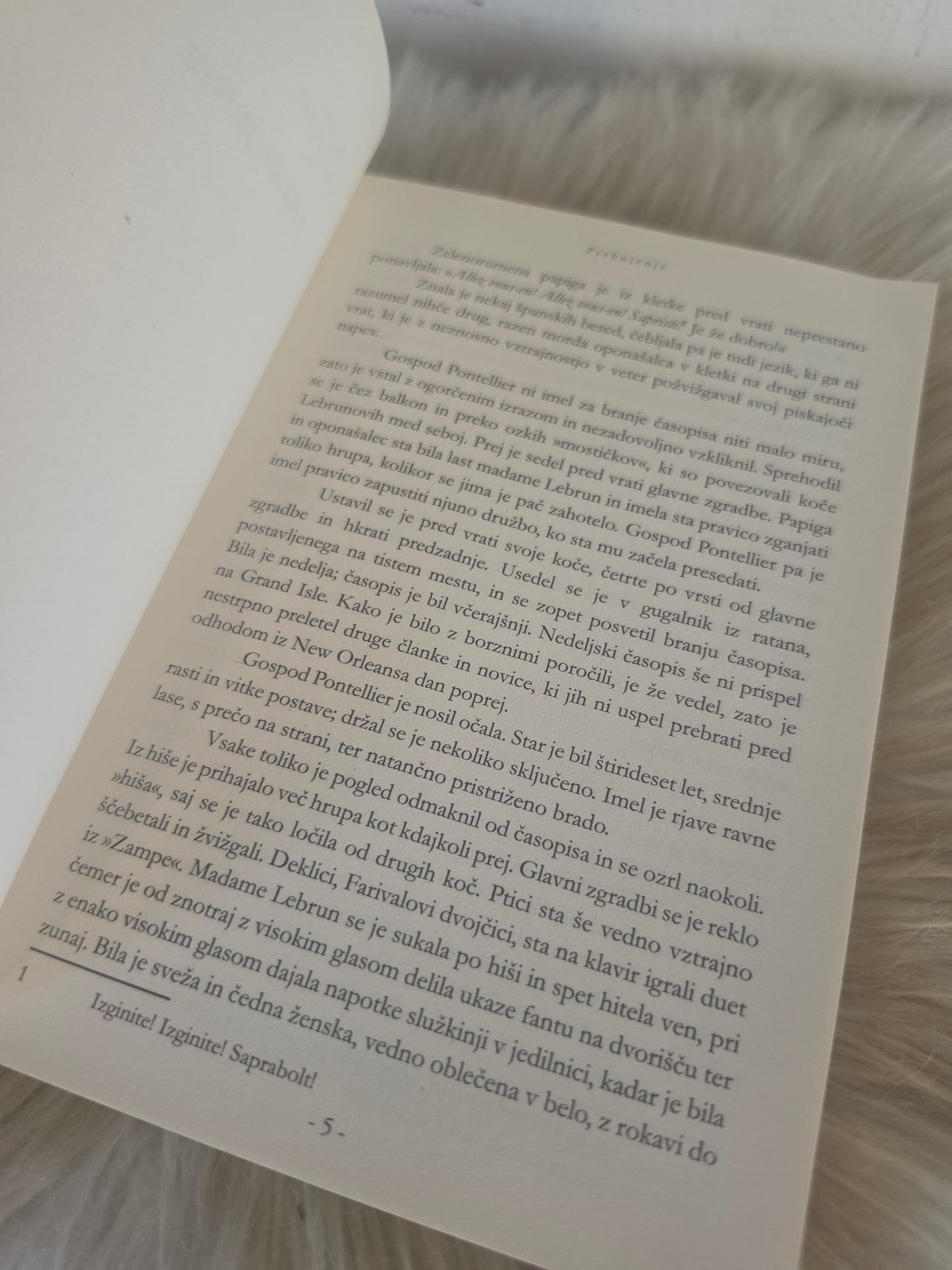 Prebujenje Kate Chopin