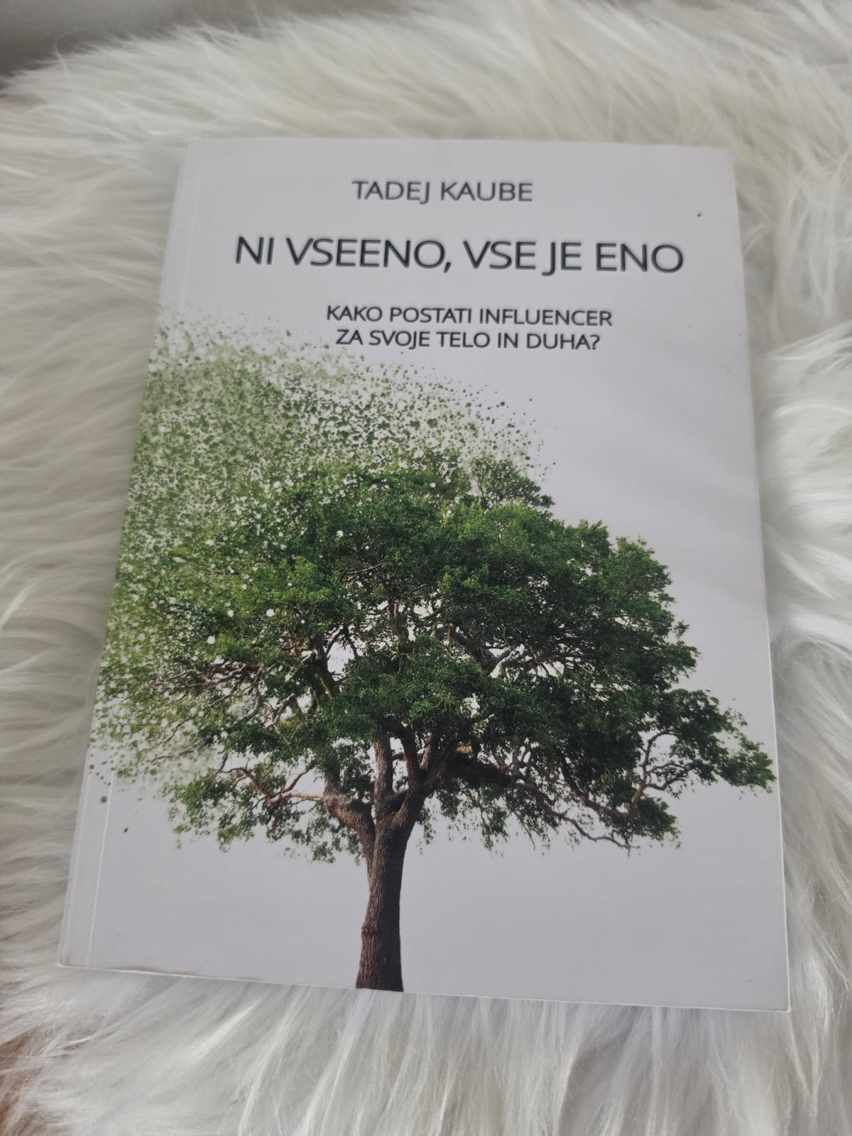 Ni vseeno, vse je eno, Tadej Kaube
