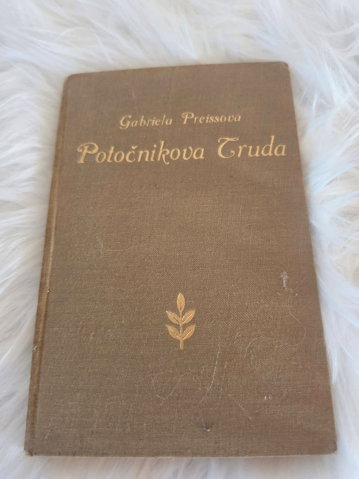 Potočnikova Truda Gabriela Preissova