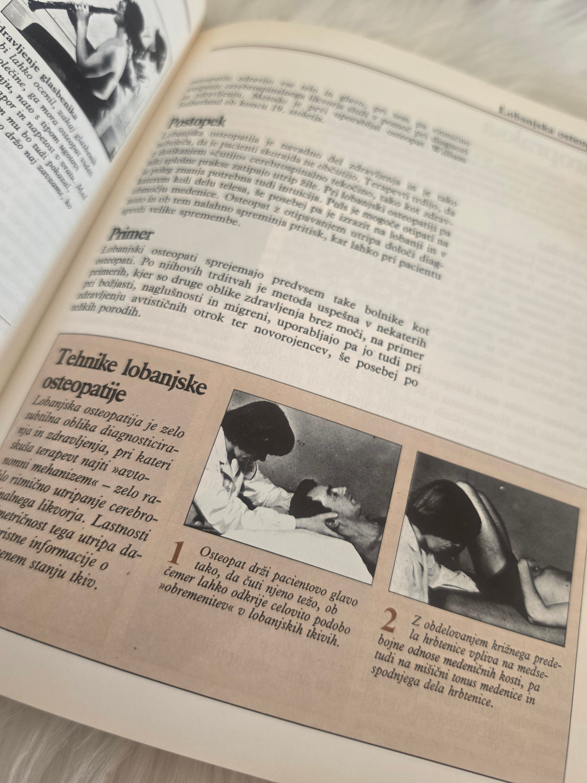 Aternativna medicina Mladinska knjiga