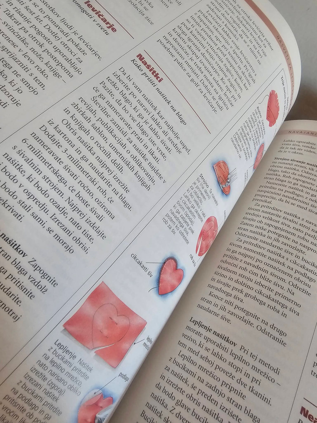 Mojster za skoraj vse Readers Digest