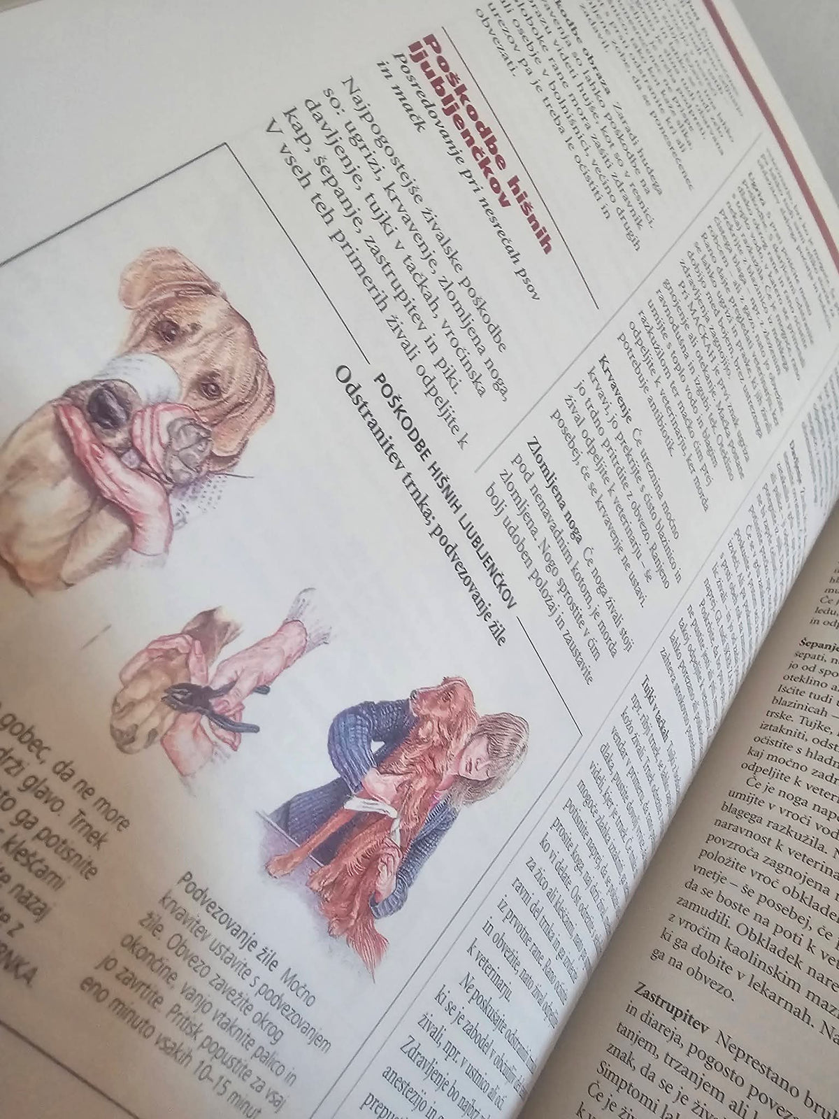 Mojster za skoraj vse Readers Digest
