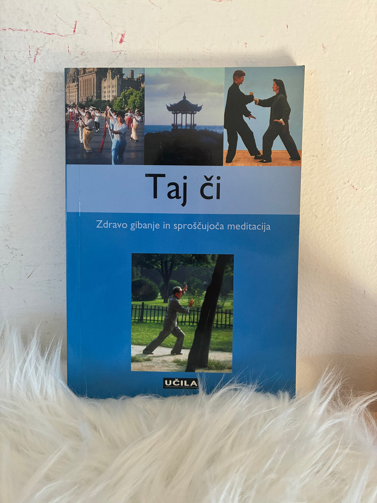Taj či Učila