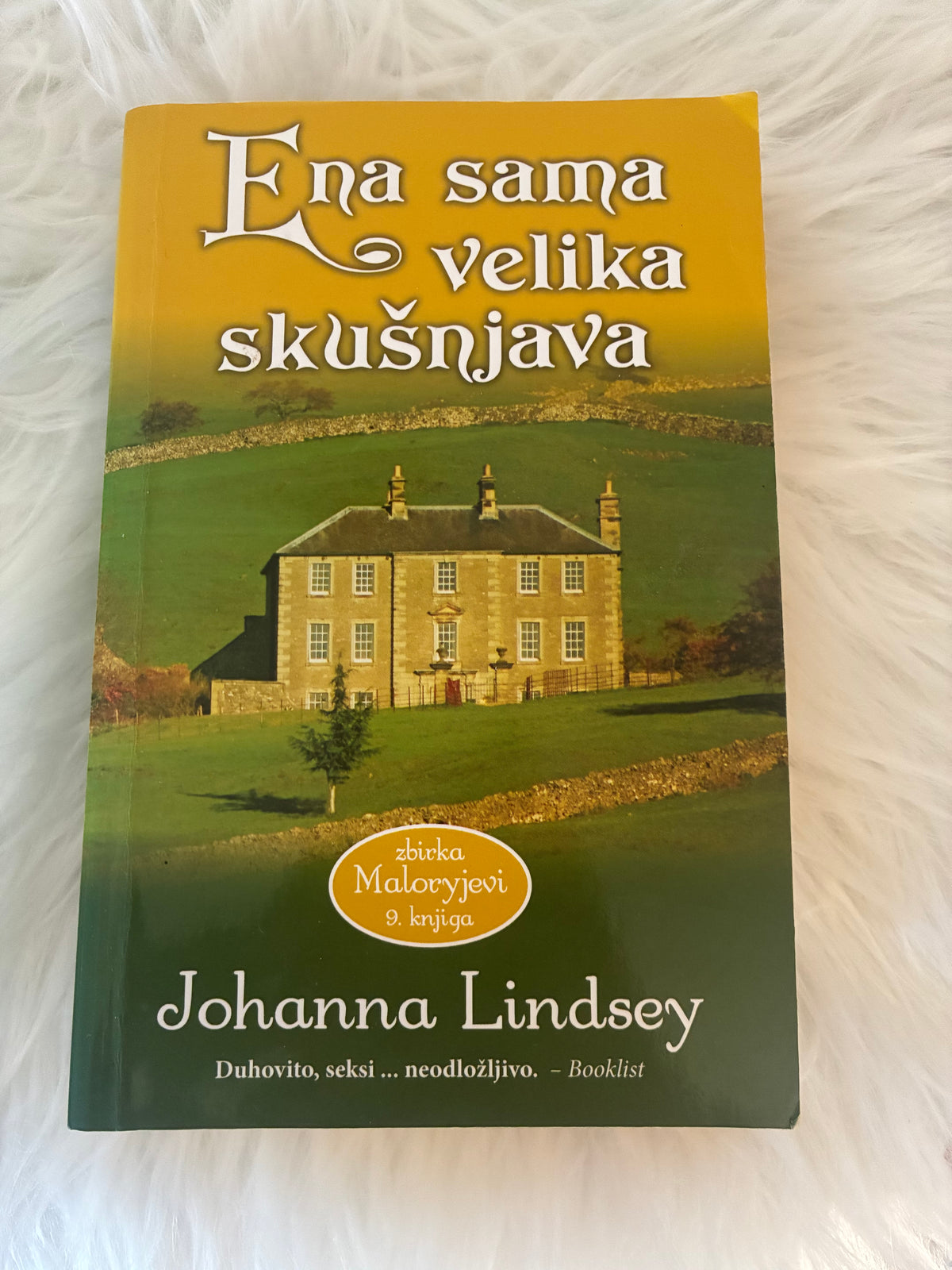 Ena sama velika skušnjava Johanna Lindsey