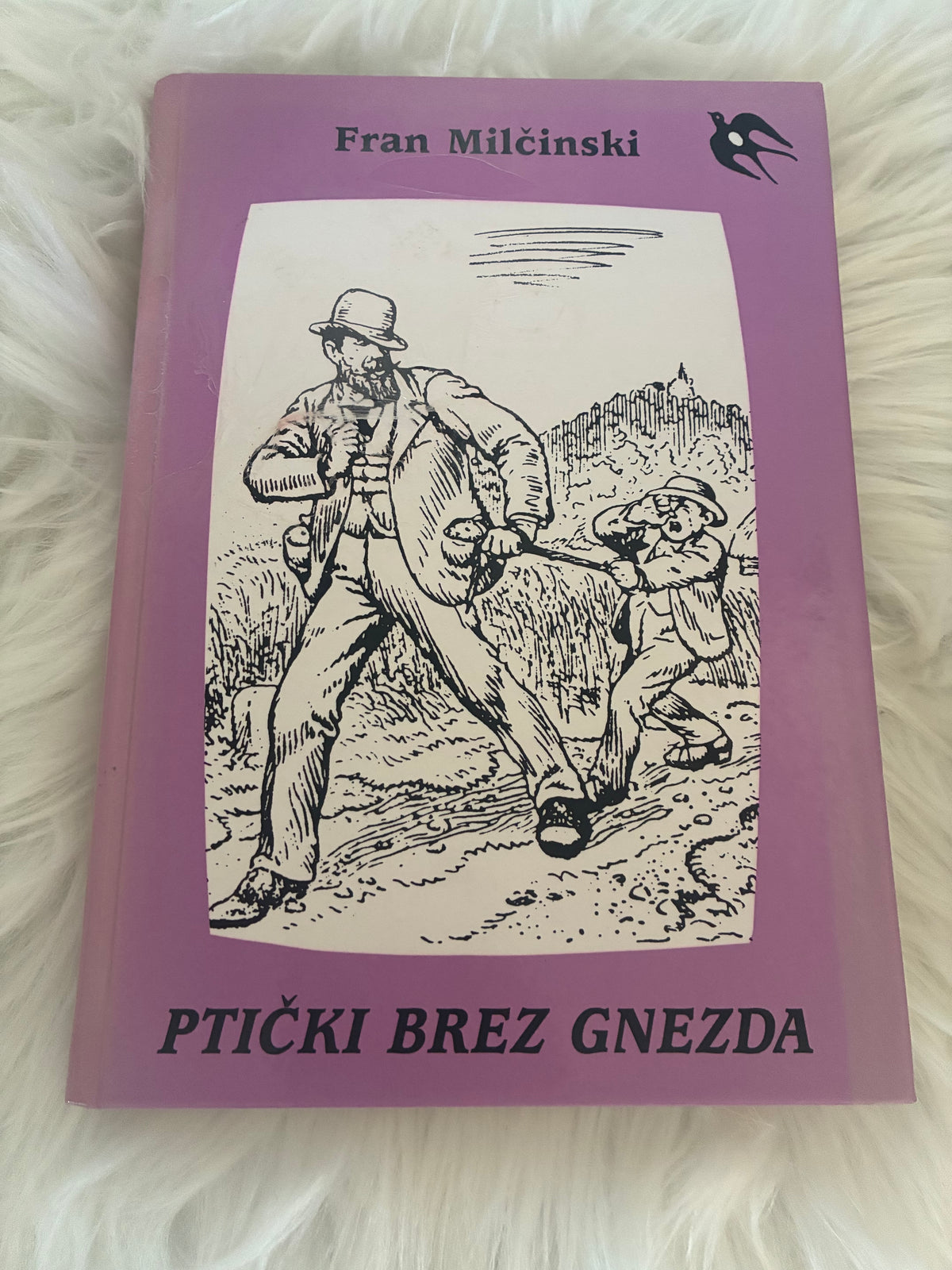 Ptički brez gnezda Fran Milčinski