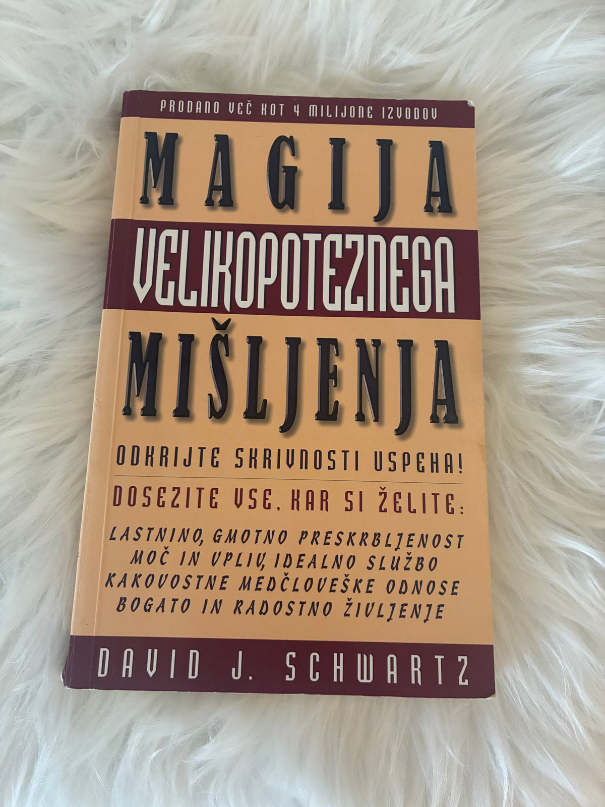 Magija velikopoteznega mišljenja David J. Schwartz