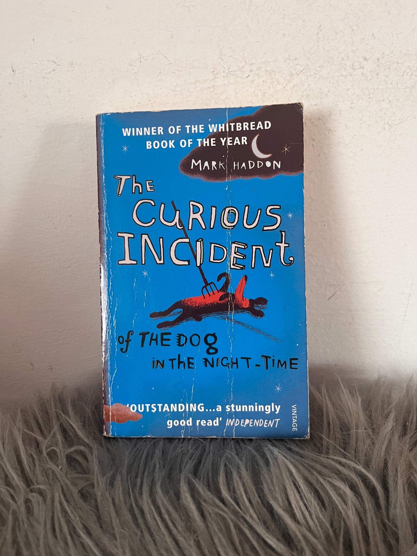 The Curious Incident of the Dog in the Night Mark Haddon