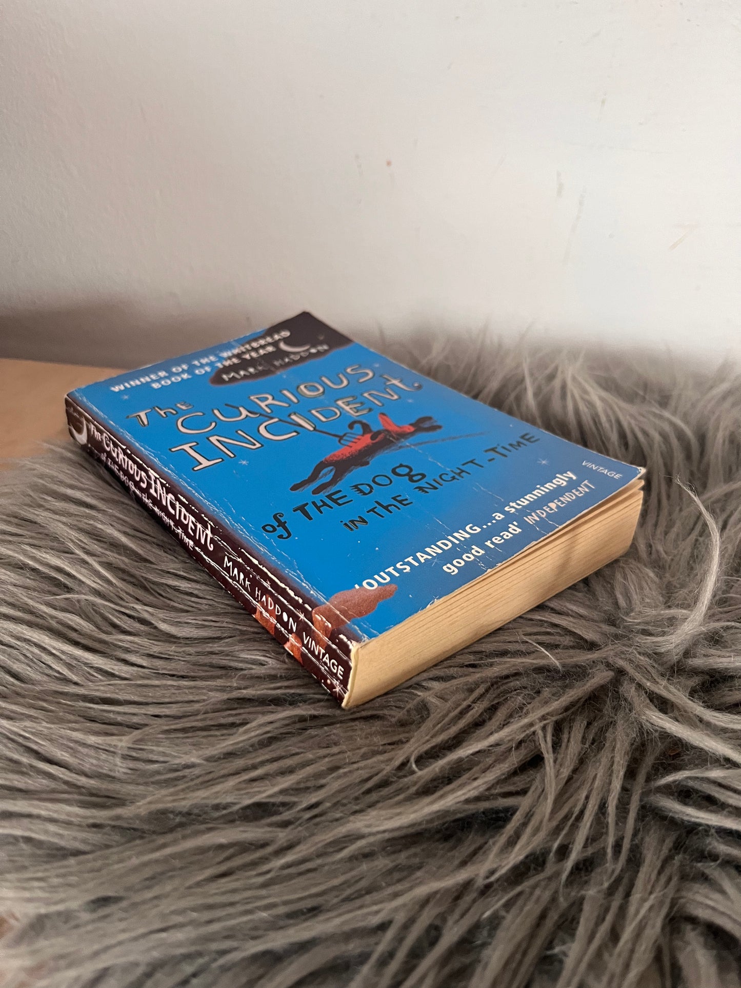 The Curious Incident of the Dog in the Night Mark Haddon