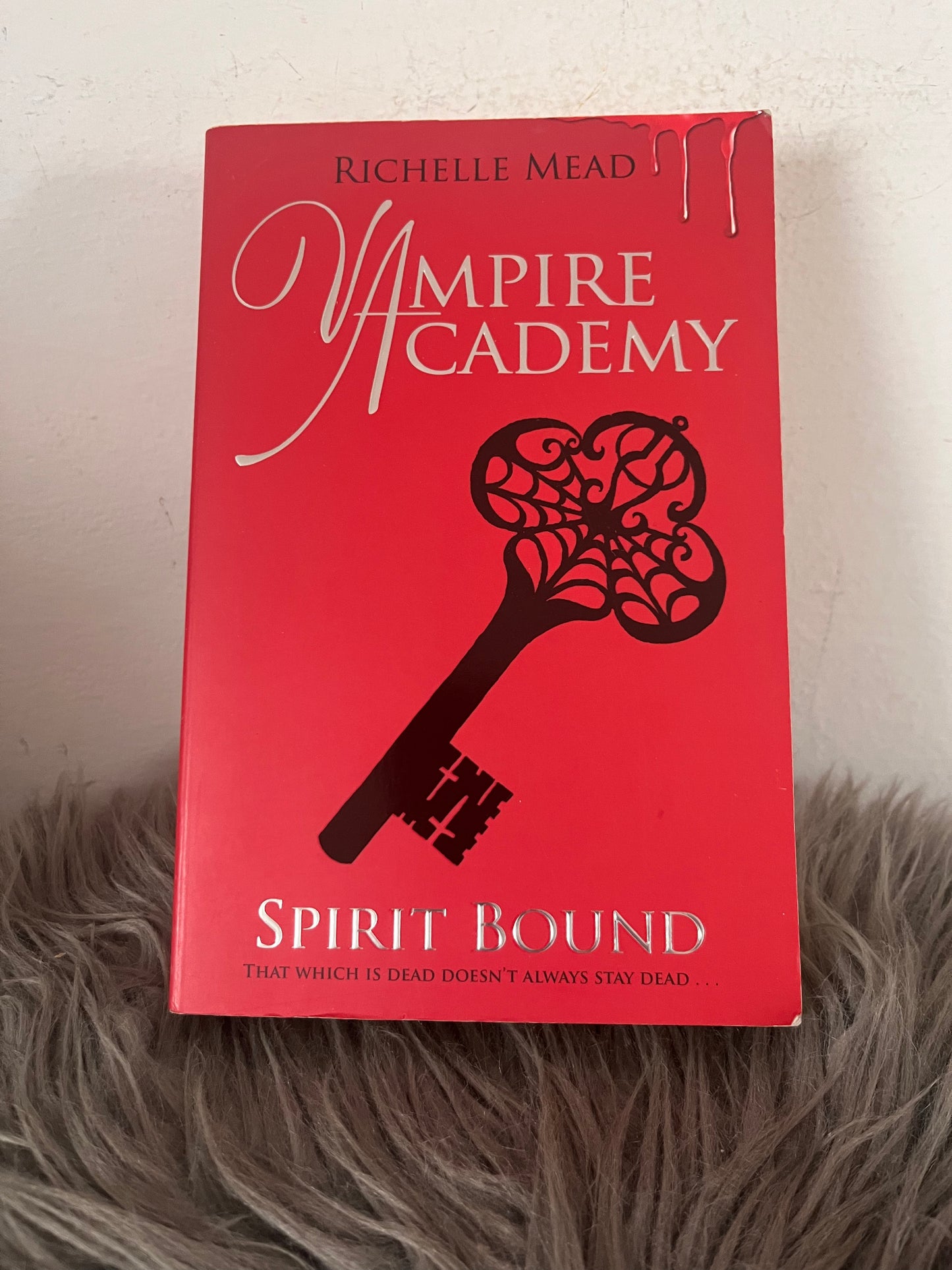 Vampire Academy Richelle Mead