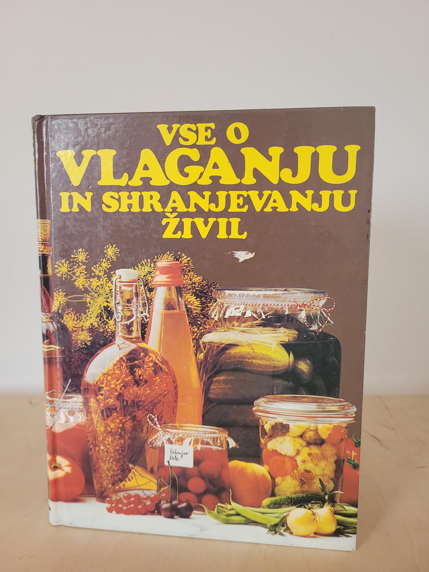 Vse o vlaganju in shranjevanju živil