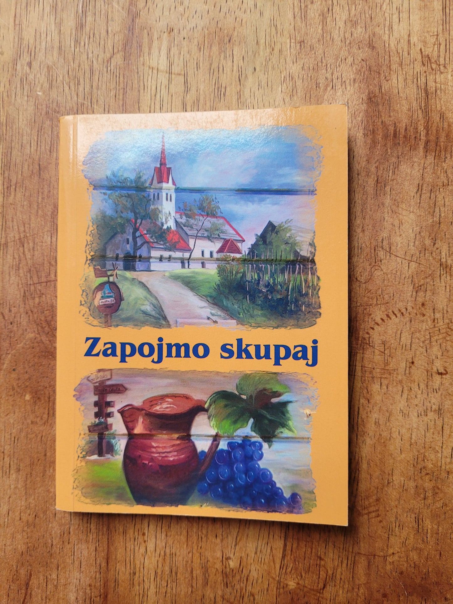 Zapojmo skupaj