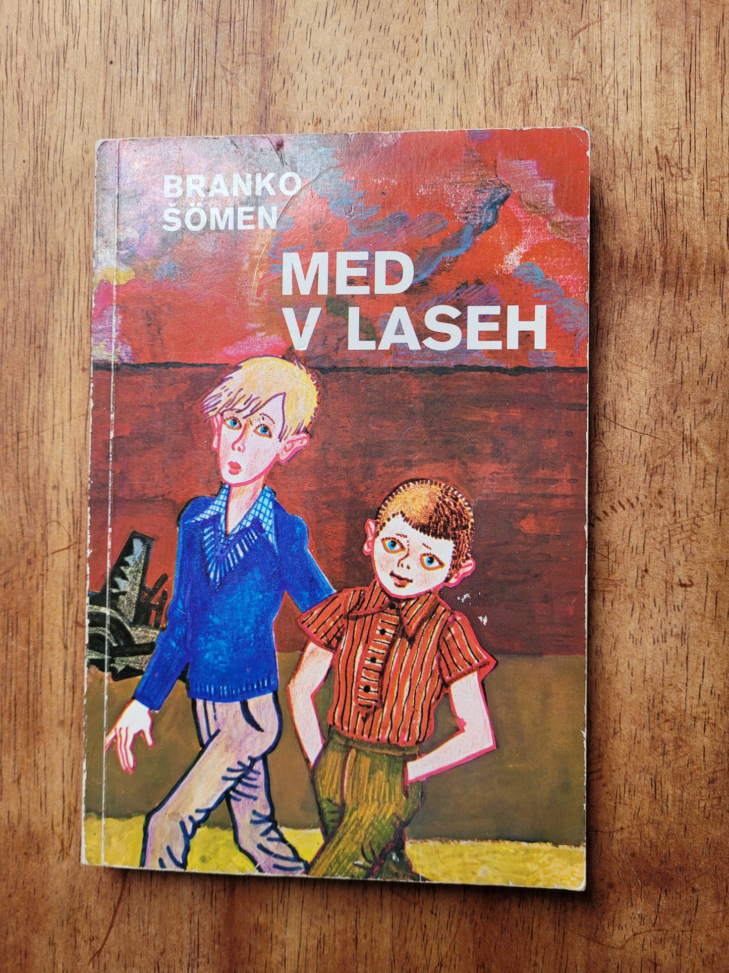 Med v laseh Branko Šomen