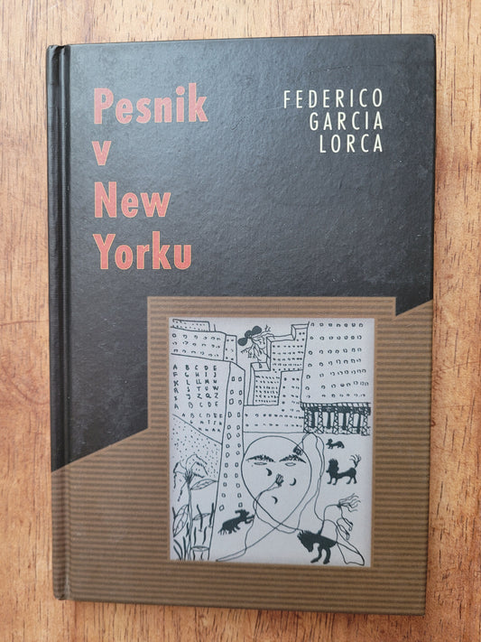 Pesnik v New Yorku Federico Garcia Lorca