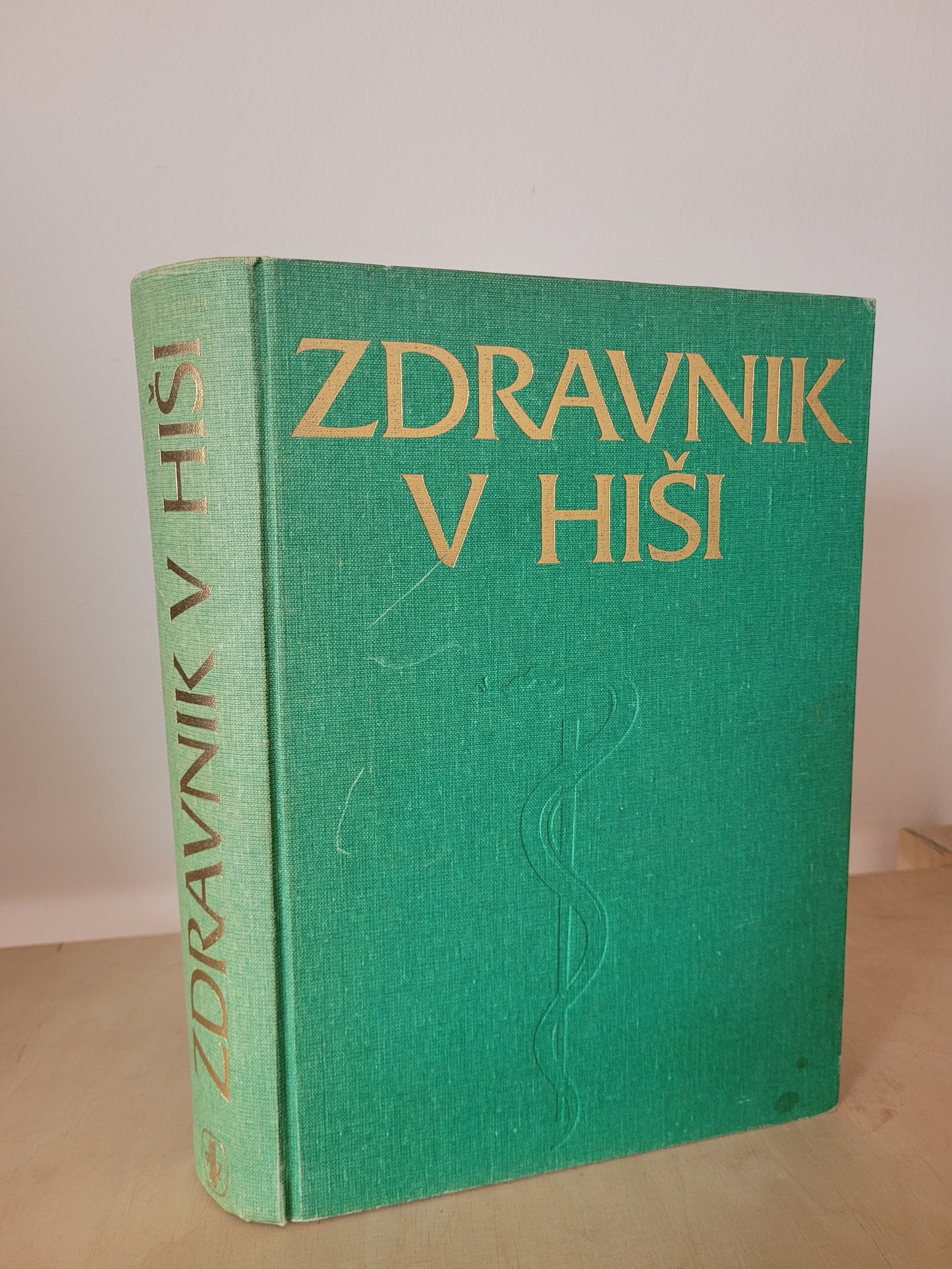 Zdravnik v hiši