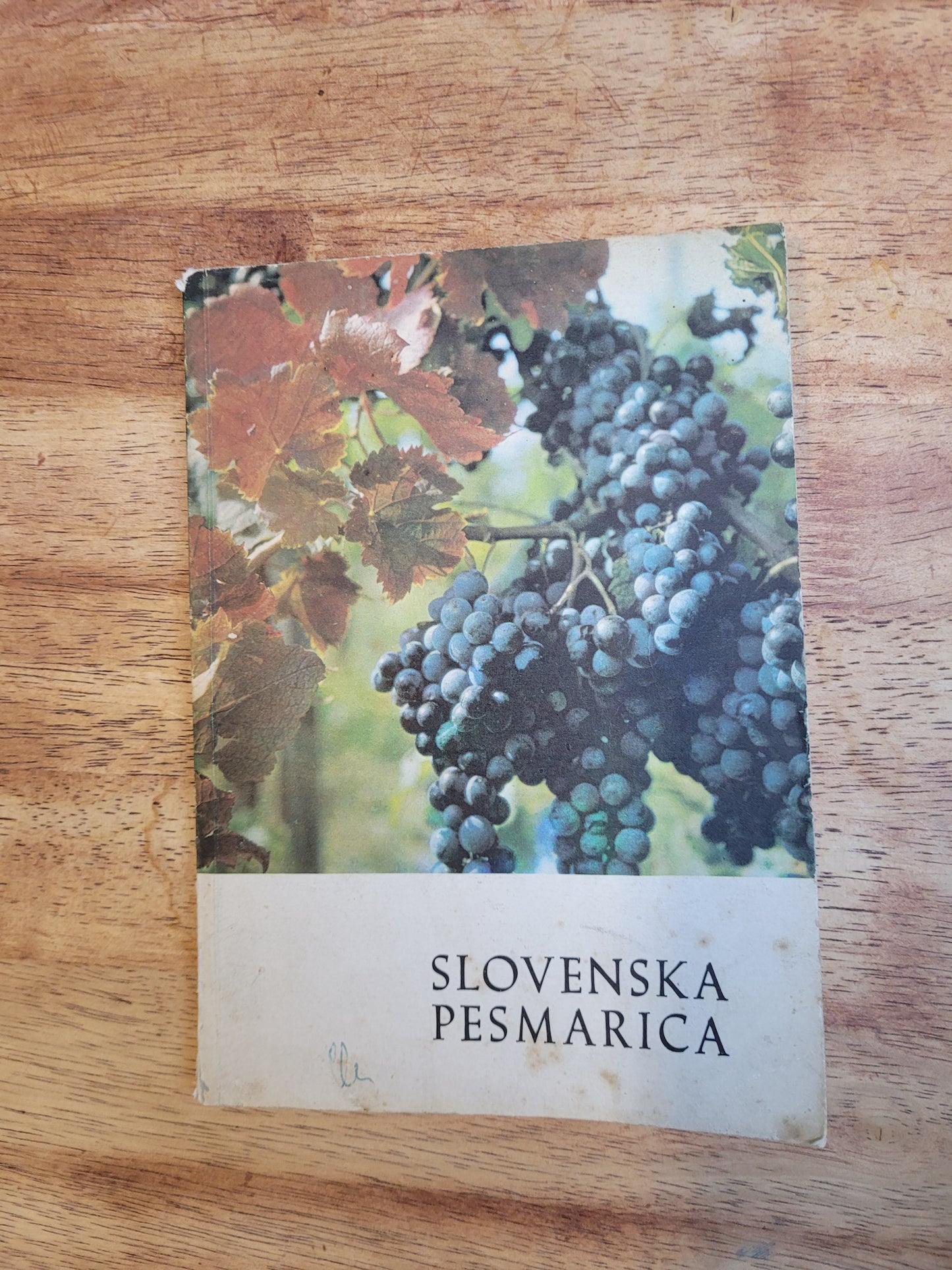 Slovenska pesmarica