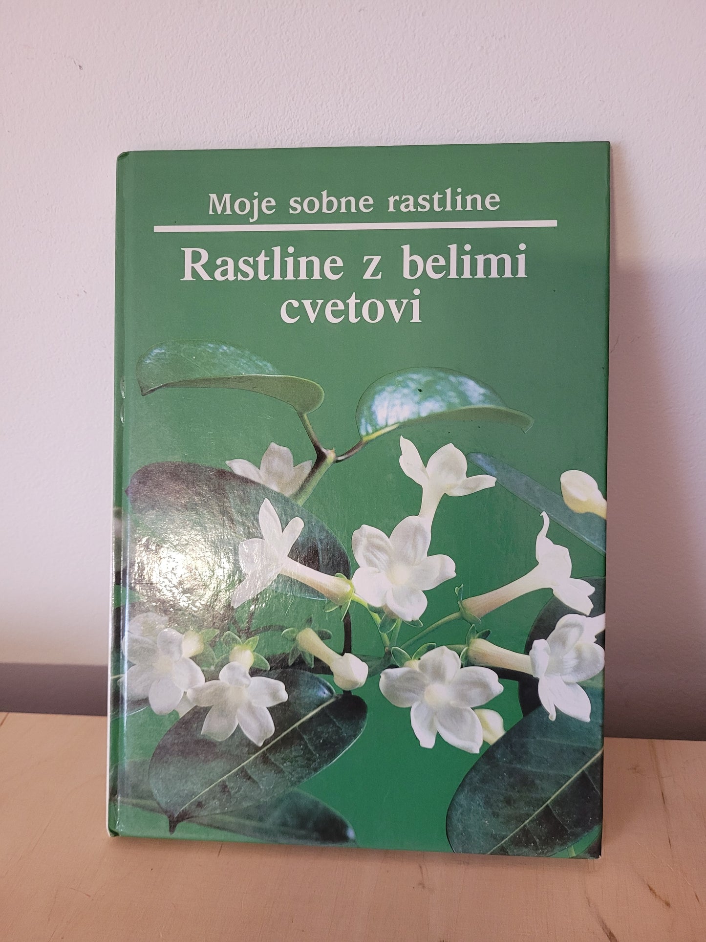 Rastline z belimi cvetovi