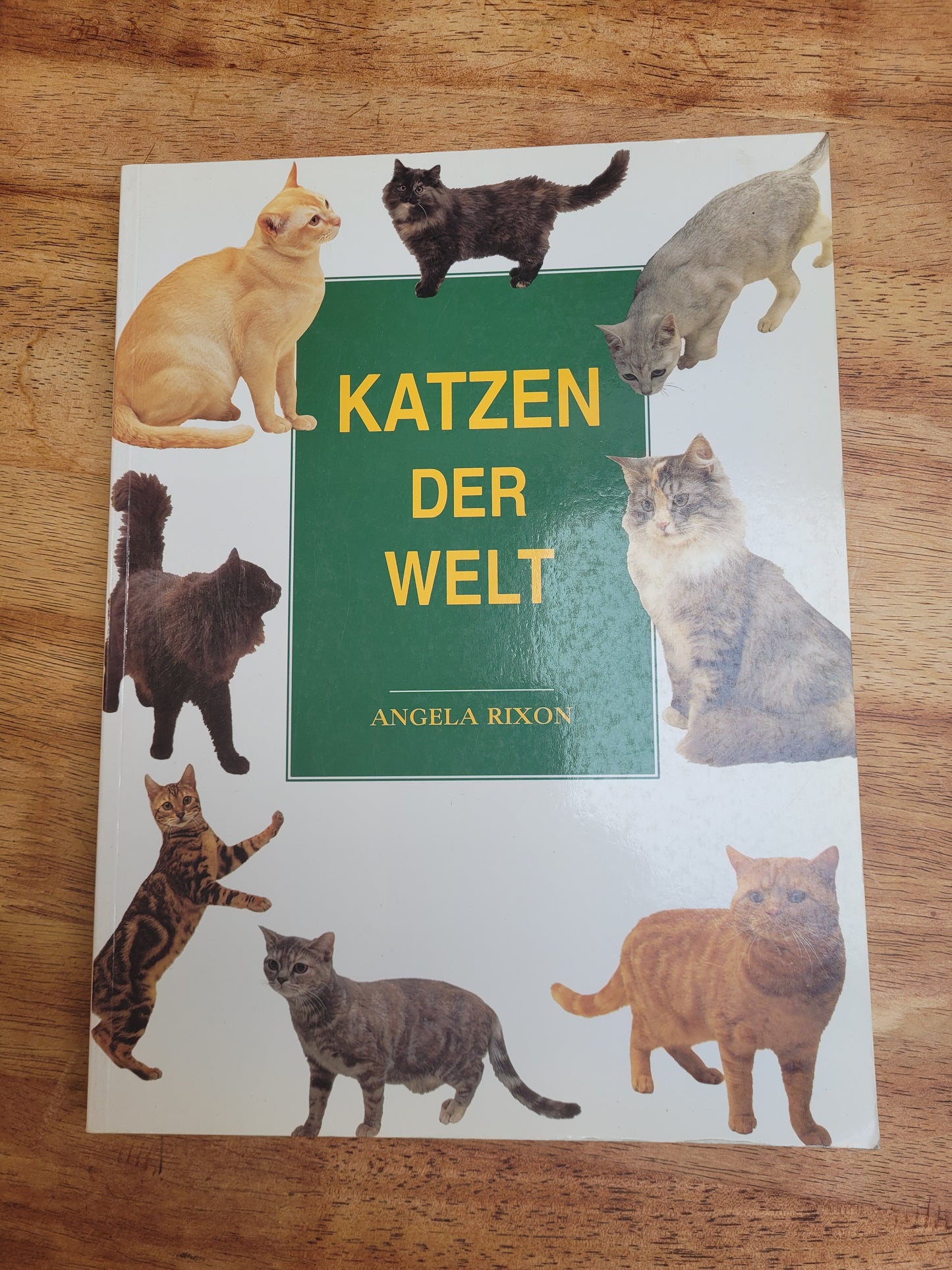 Katzen der welt