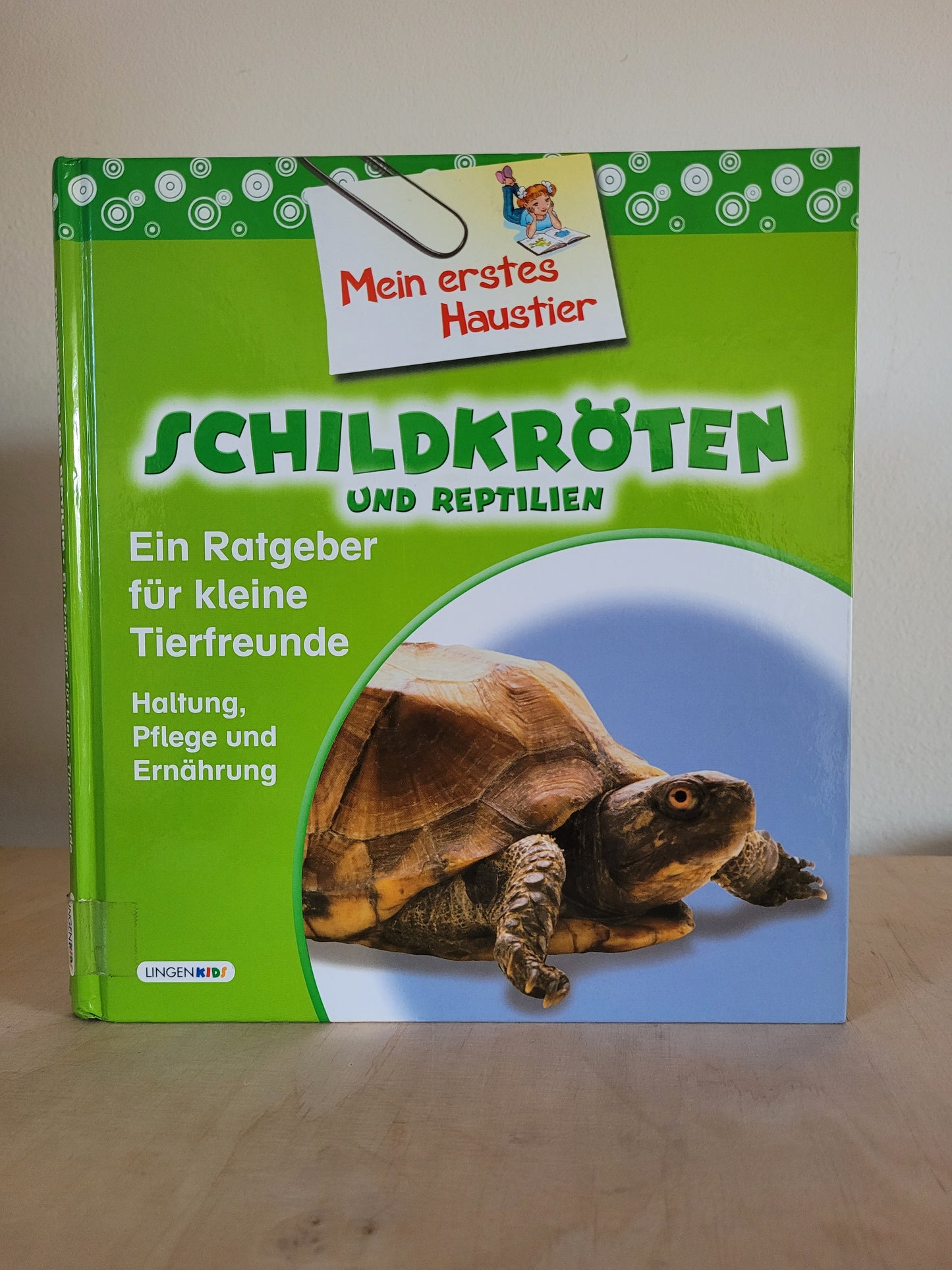 Schildkroten und reptilien