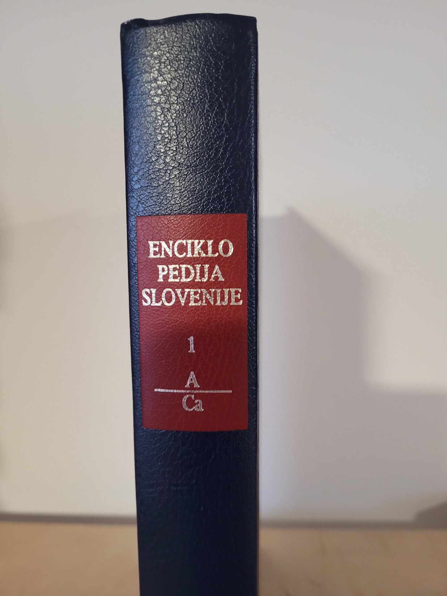 Enciklopedija Slovenije 1-16