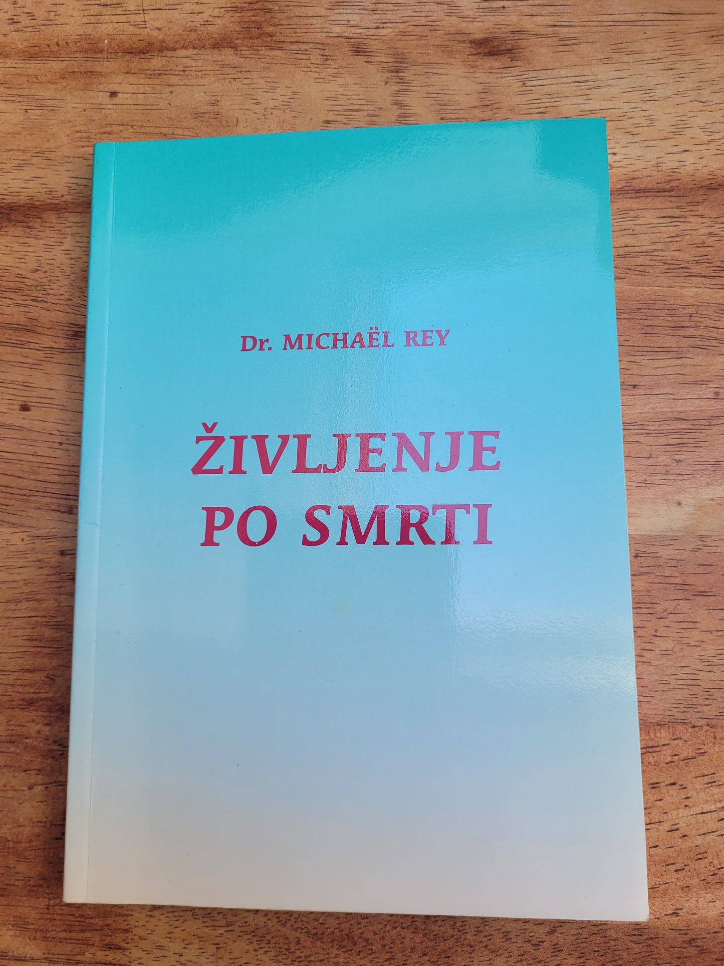 Življenje po smrti,Dr.Michael Rey