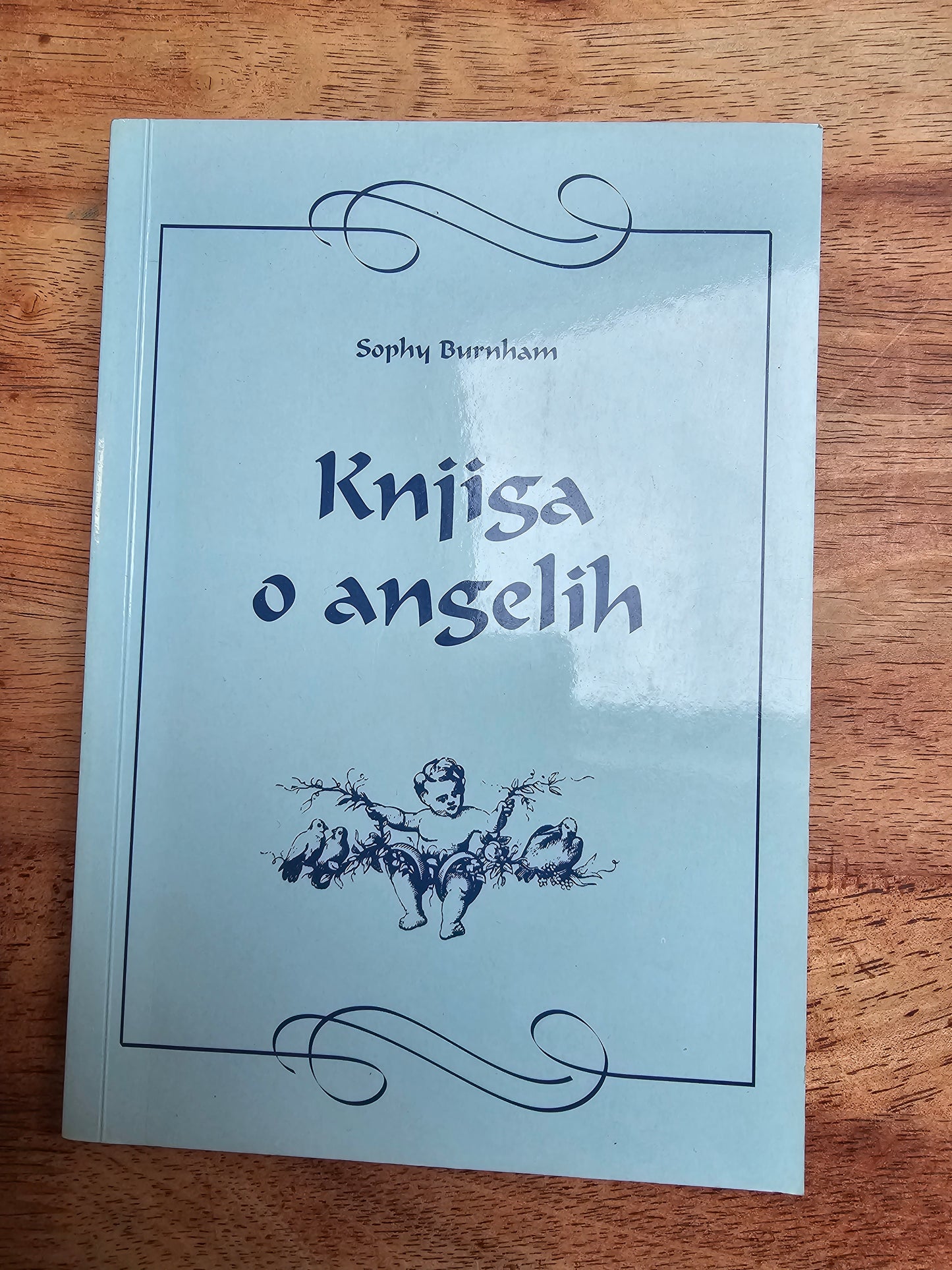 Knjiga o angelih Sophy Burnham